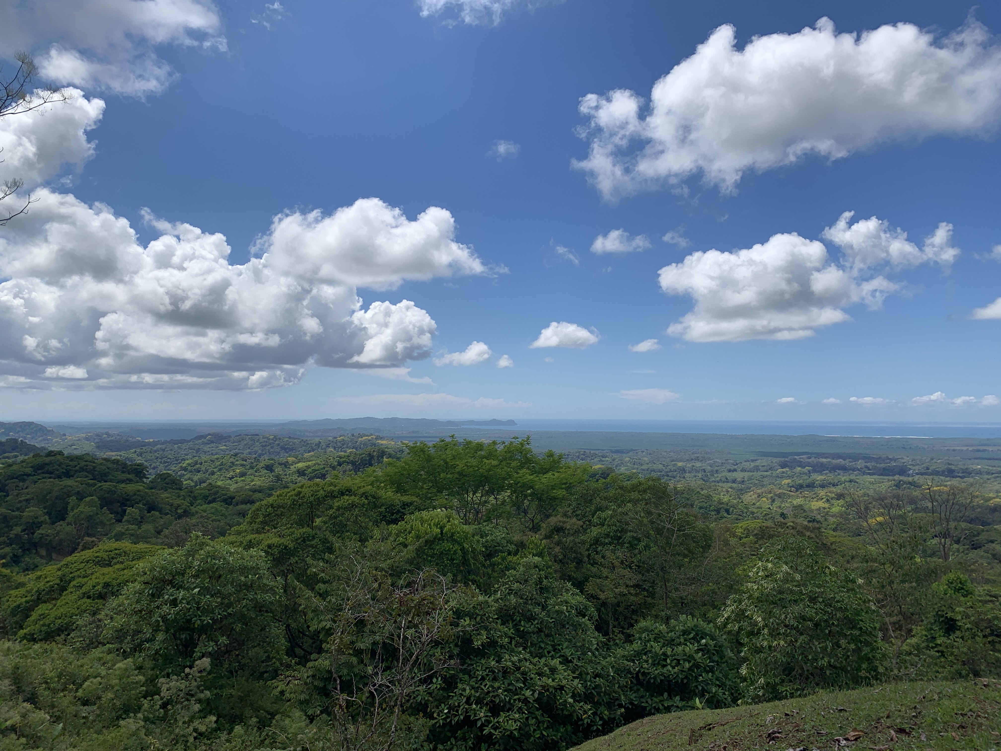 0 bed Land For Sale in Quepos, Puntarenas - thumb 9