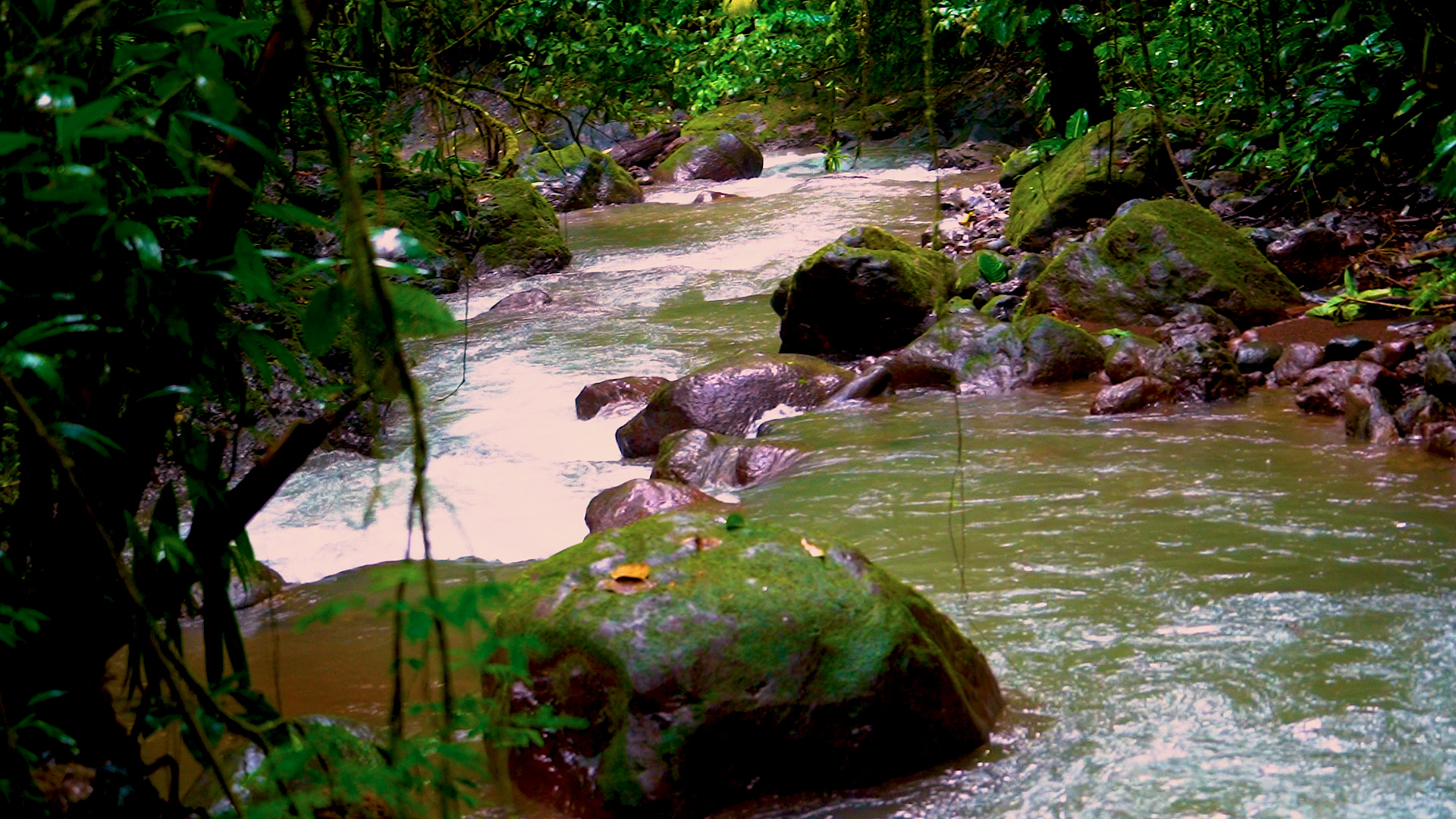 0 bed Land For Sale in Quepos, Puntarenas - thumb 1