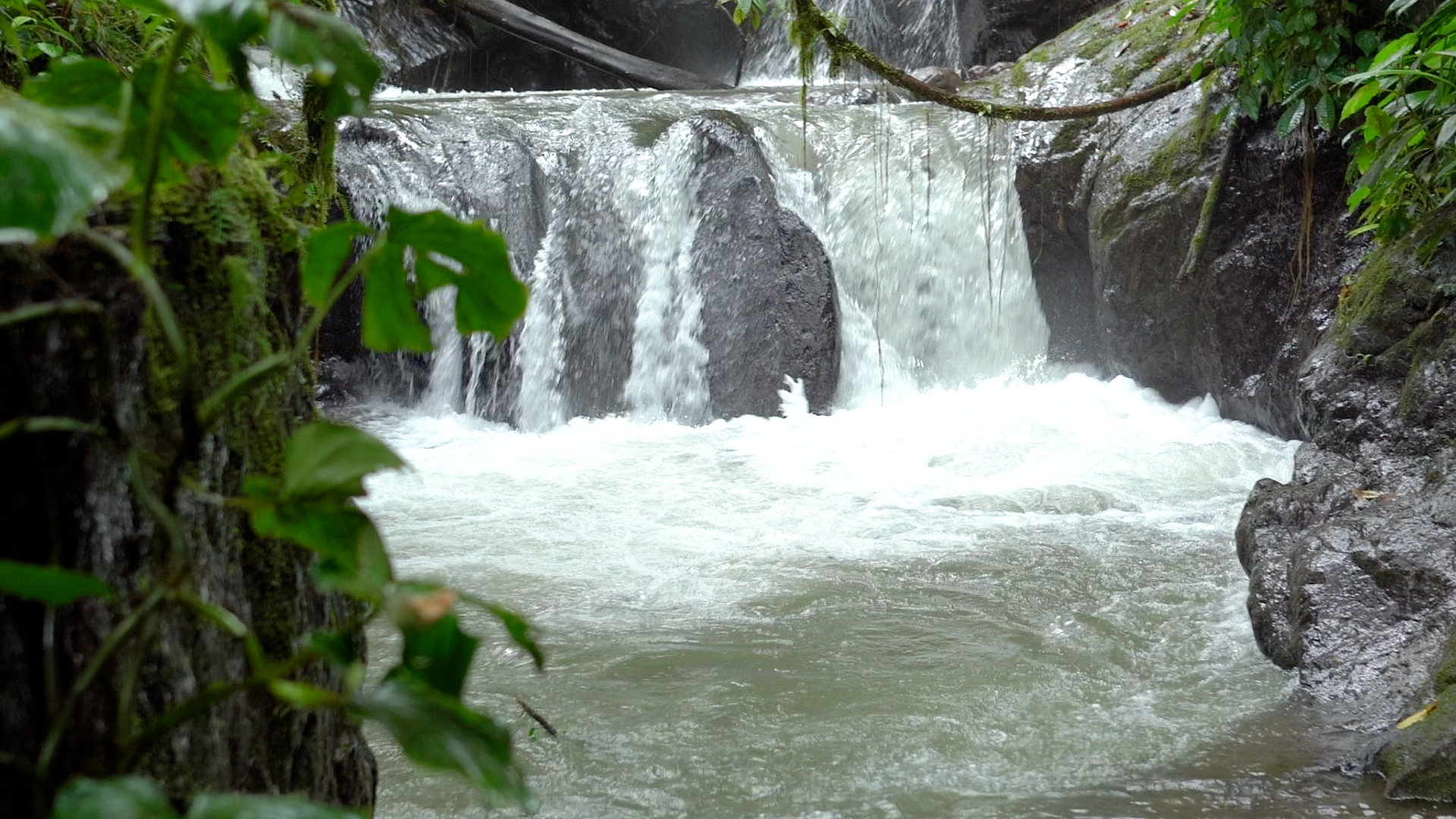 0 bed Land For Sale in Quepos, Puntarenas - thumb 7