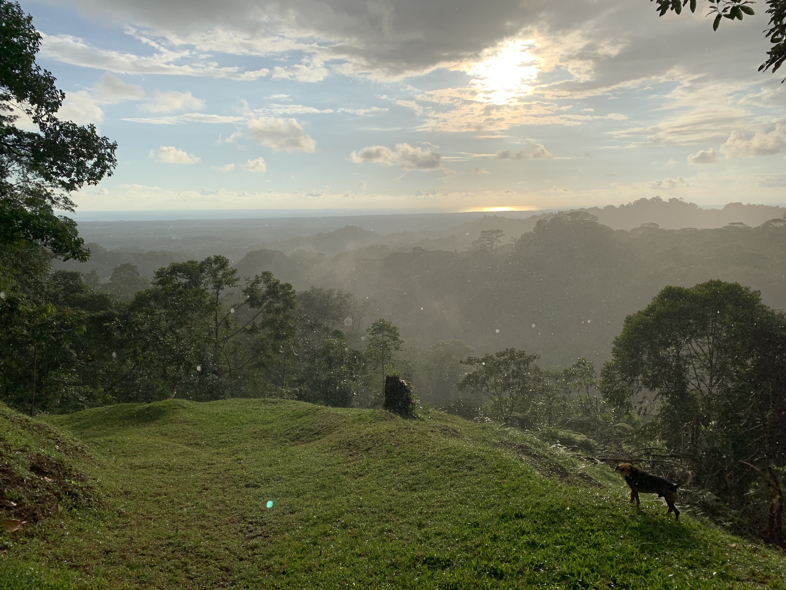 0 bed Land For Sale in Quepos, Puntarenas - thumb 8