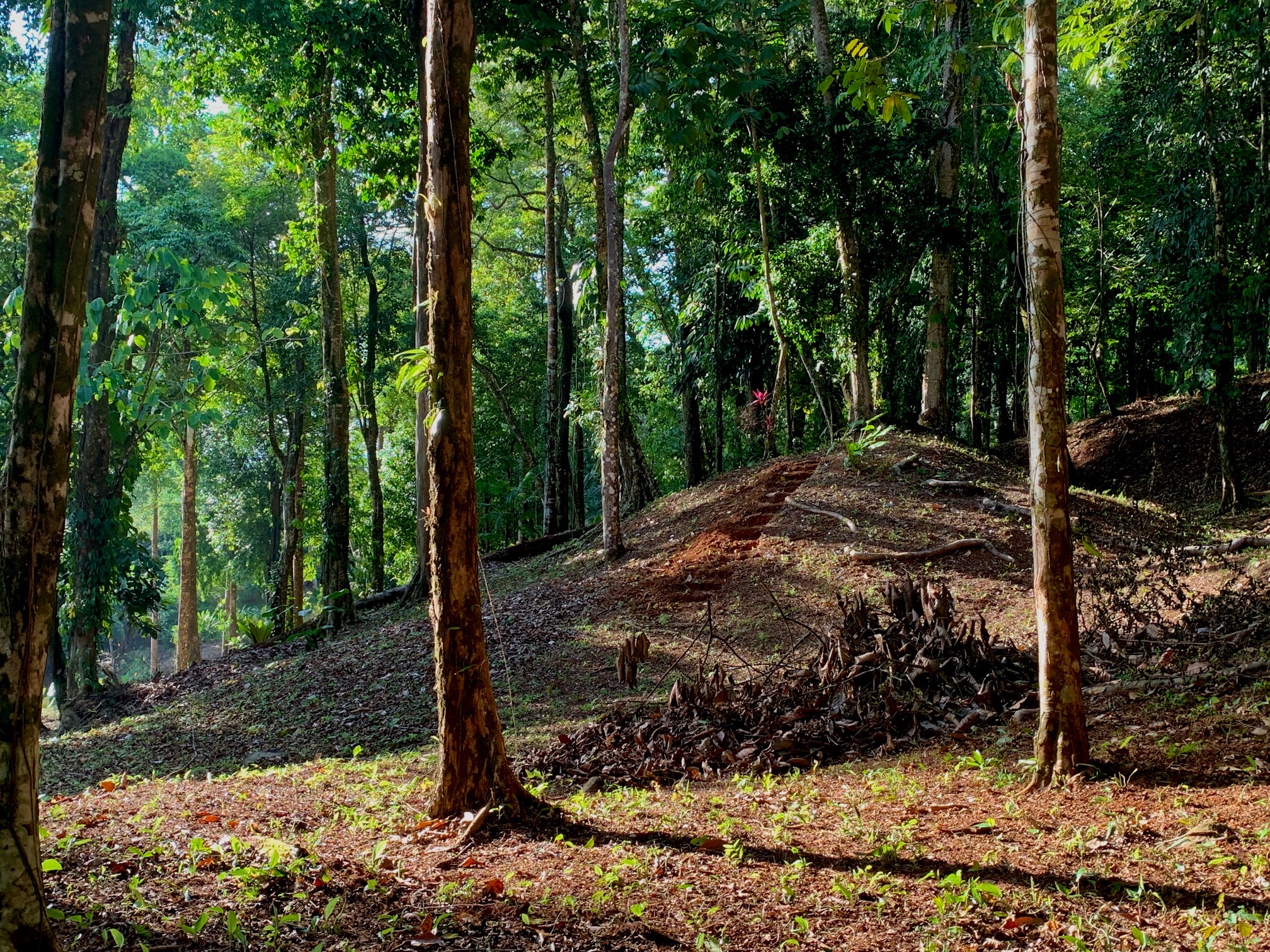 0 bed Land For Sale in Uvita, Puntarenas - thumb 1