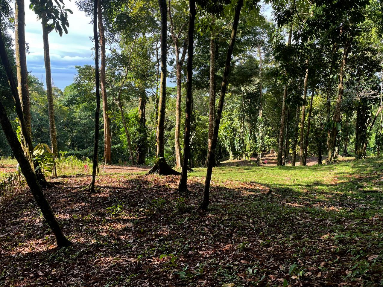0 bed Land For Sale in Uvita, Puntarenas - thumb 5