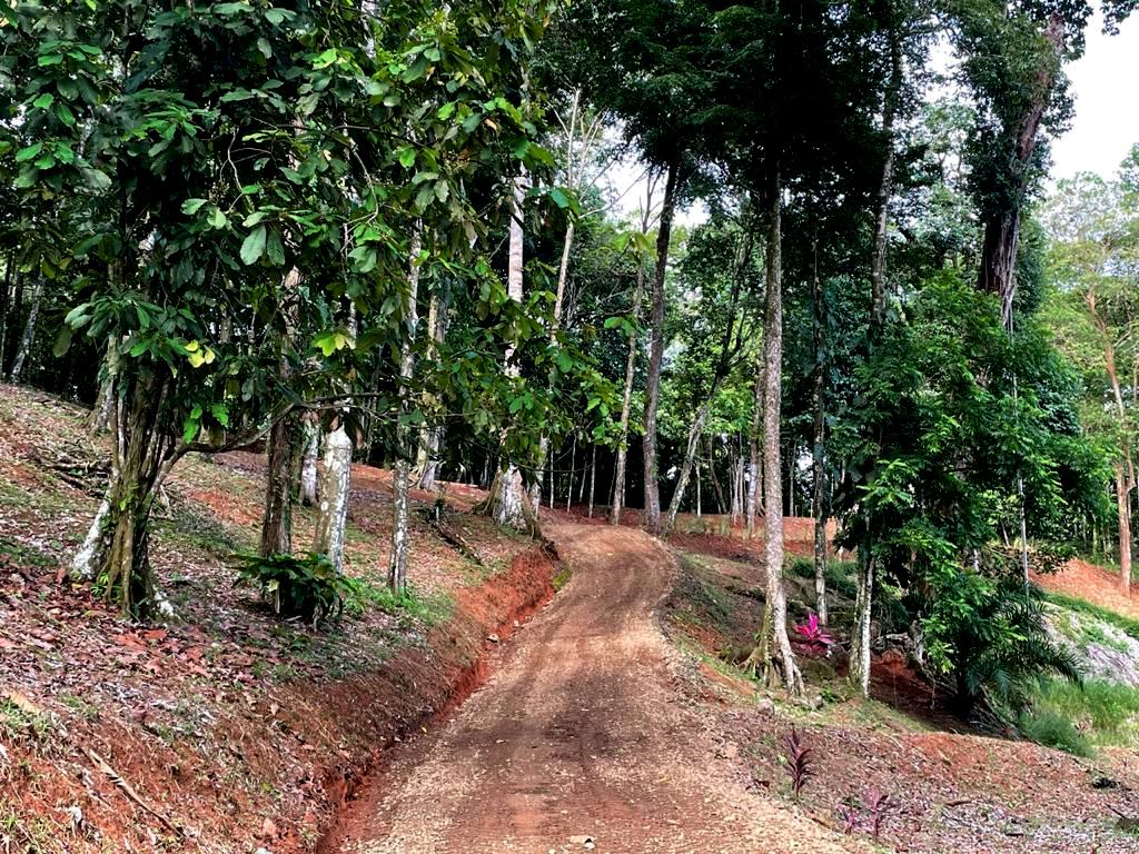 0 bed Land For Sale in Uvita, Puntarenas - thumb 6