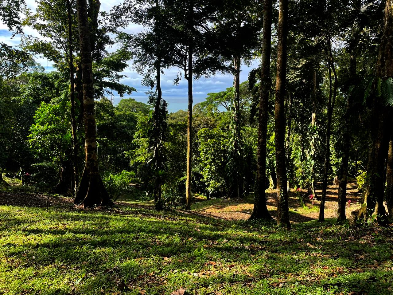 0 bed Land For Sale in Uvita, Puntarenas - thumb 4