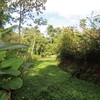  - Lot in Tres Rios with Views, Sunset, River, Easy Access