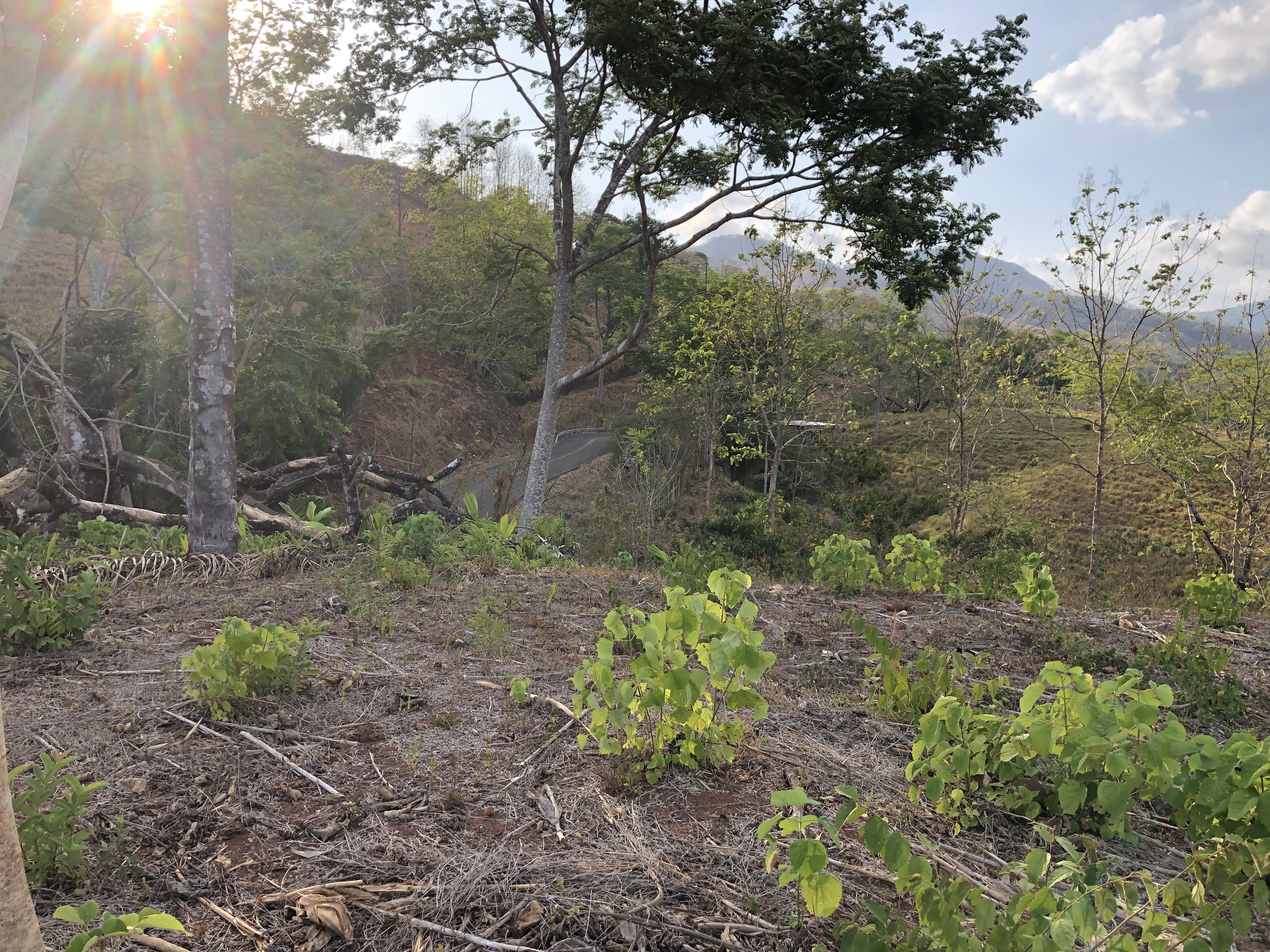0 bed Land For Sale in Samara, Guanacaste - thumb 2