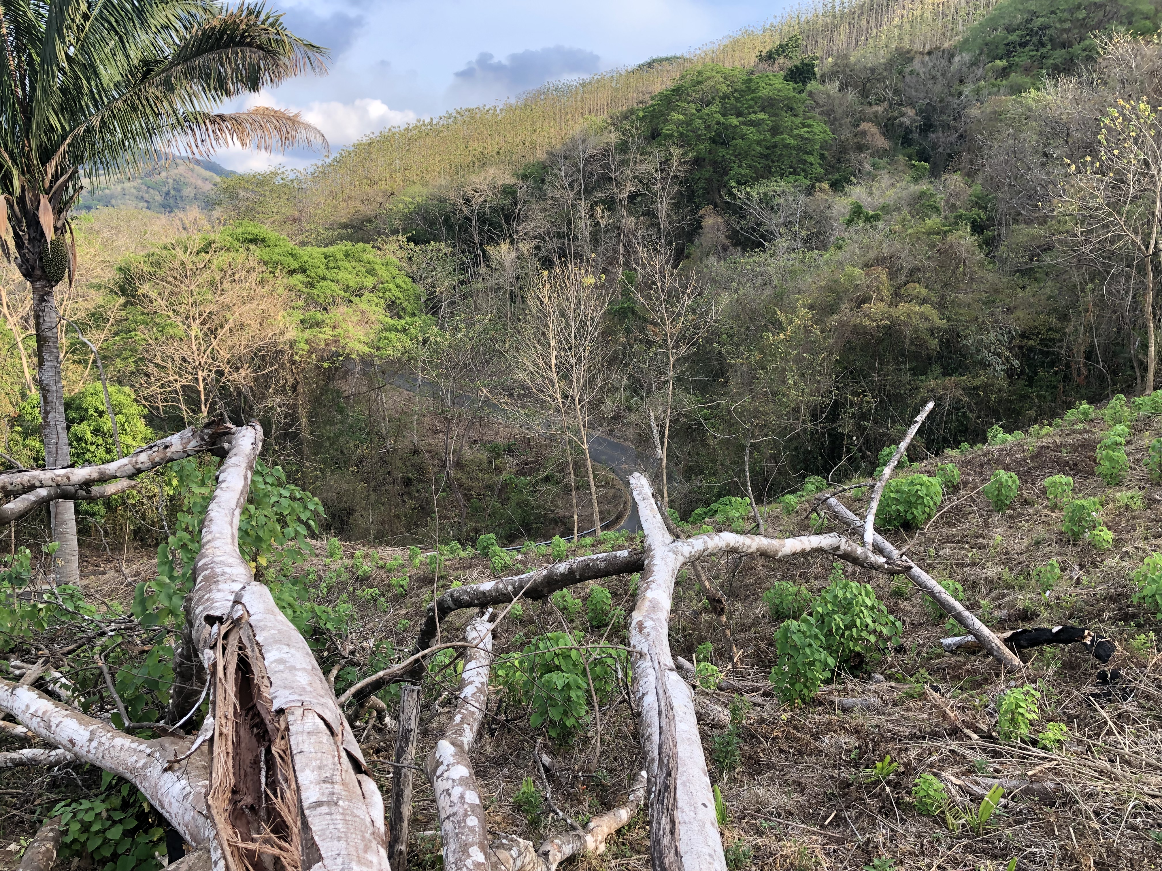 0 bed Land For Sale in Samara, Guanacaste - thumb 6