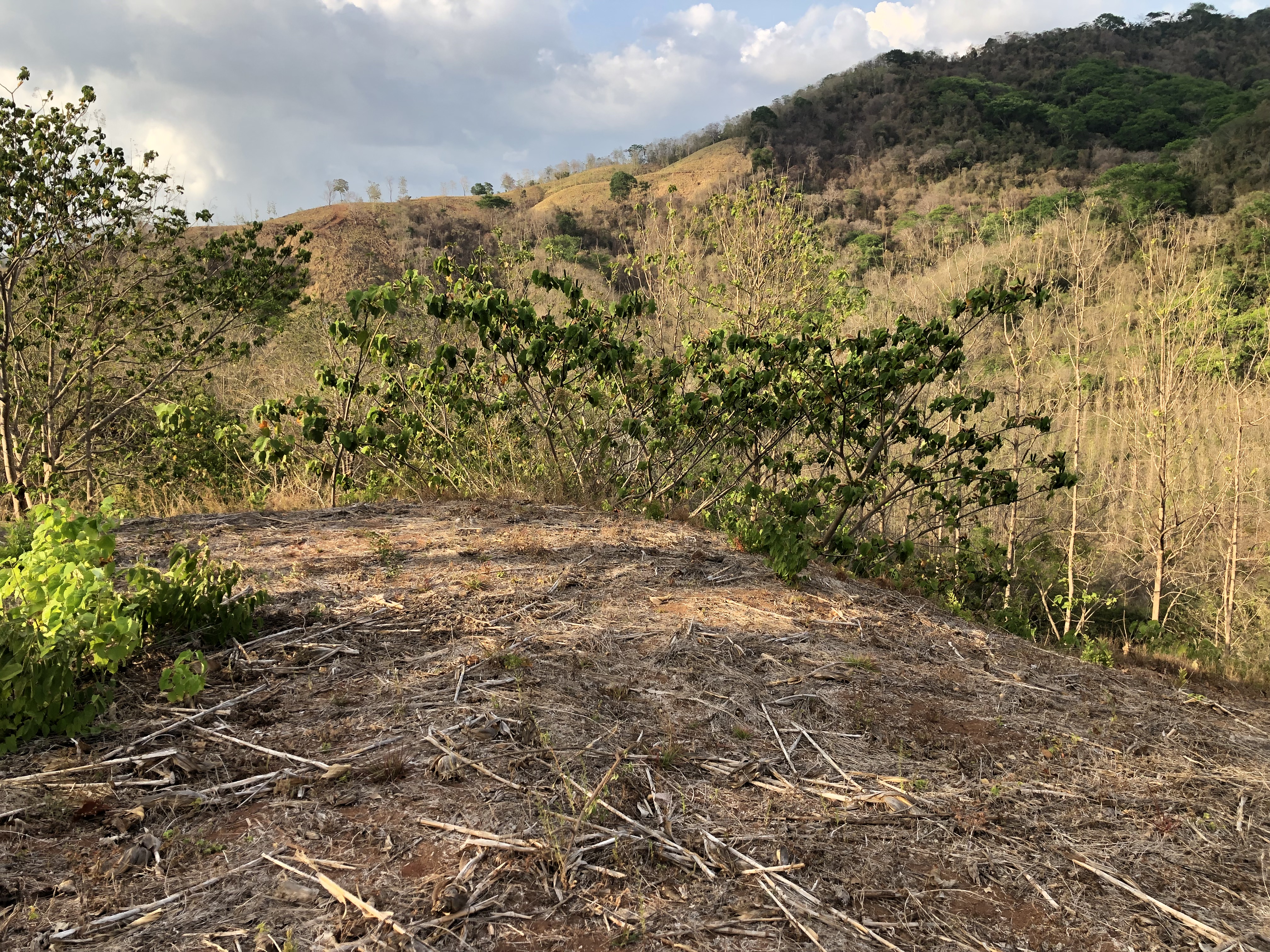 0 bed Land For Sale in Samara, Guanacaste - thumb 3
