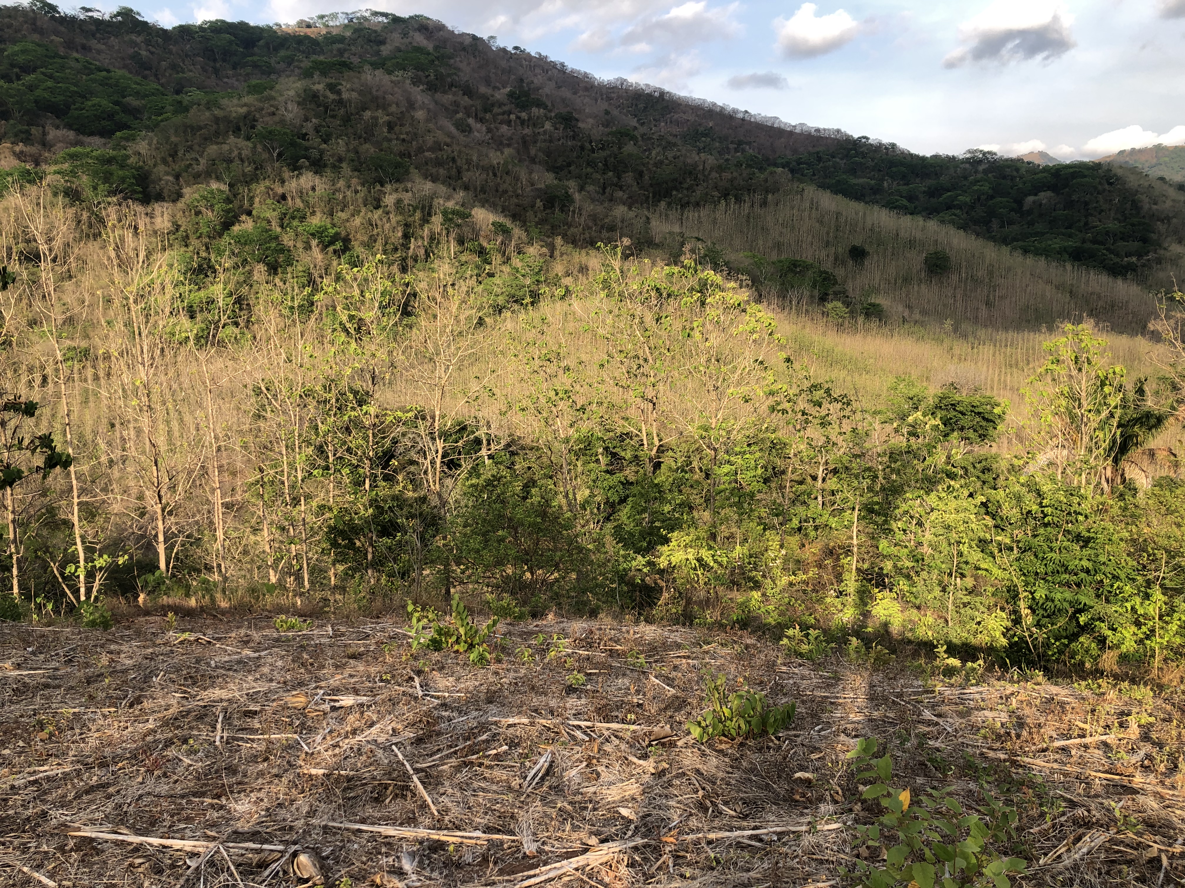 0 bed Land For Sale in Samara, Guanacaste - thumb 4