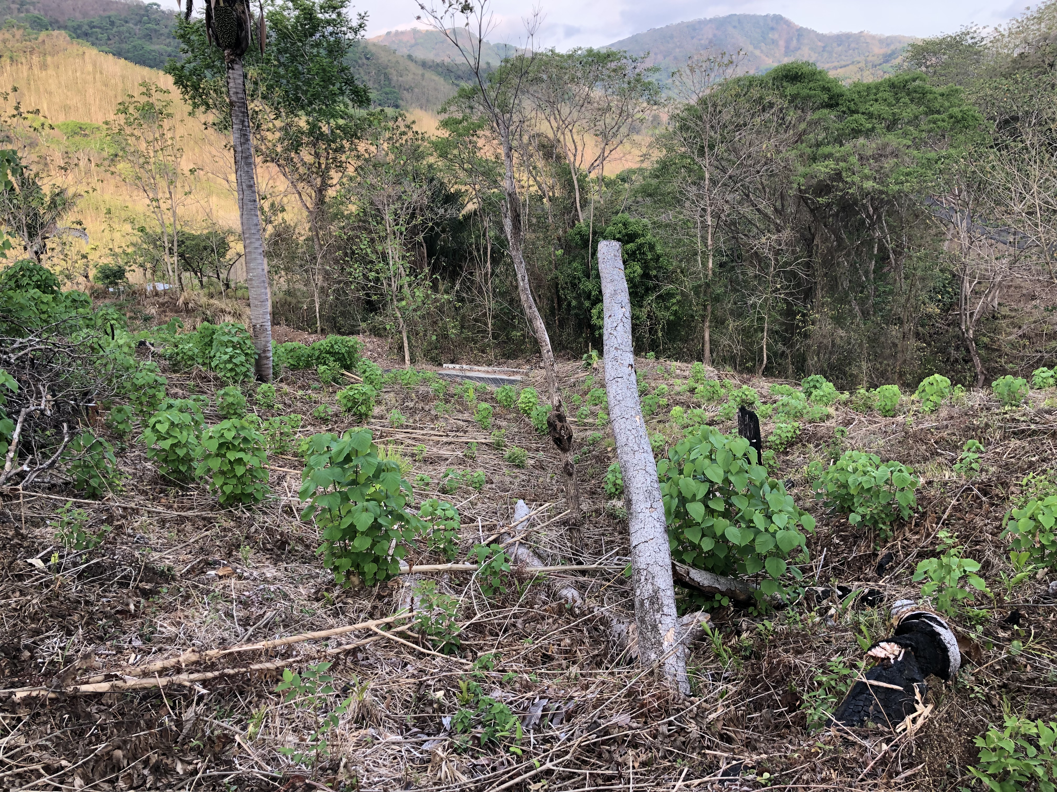 0 bed Land For Sale in Samara, Guanacaste - thumb 10