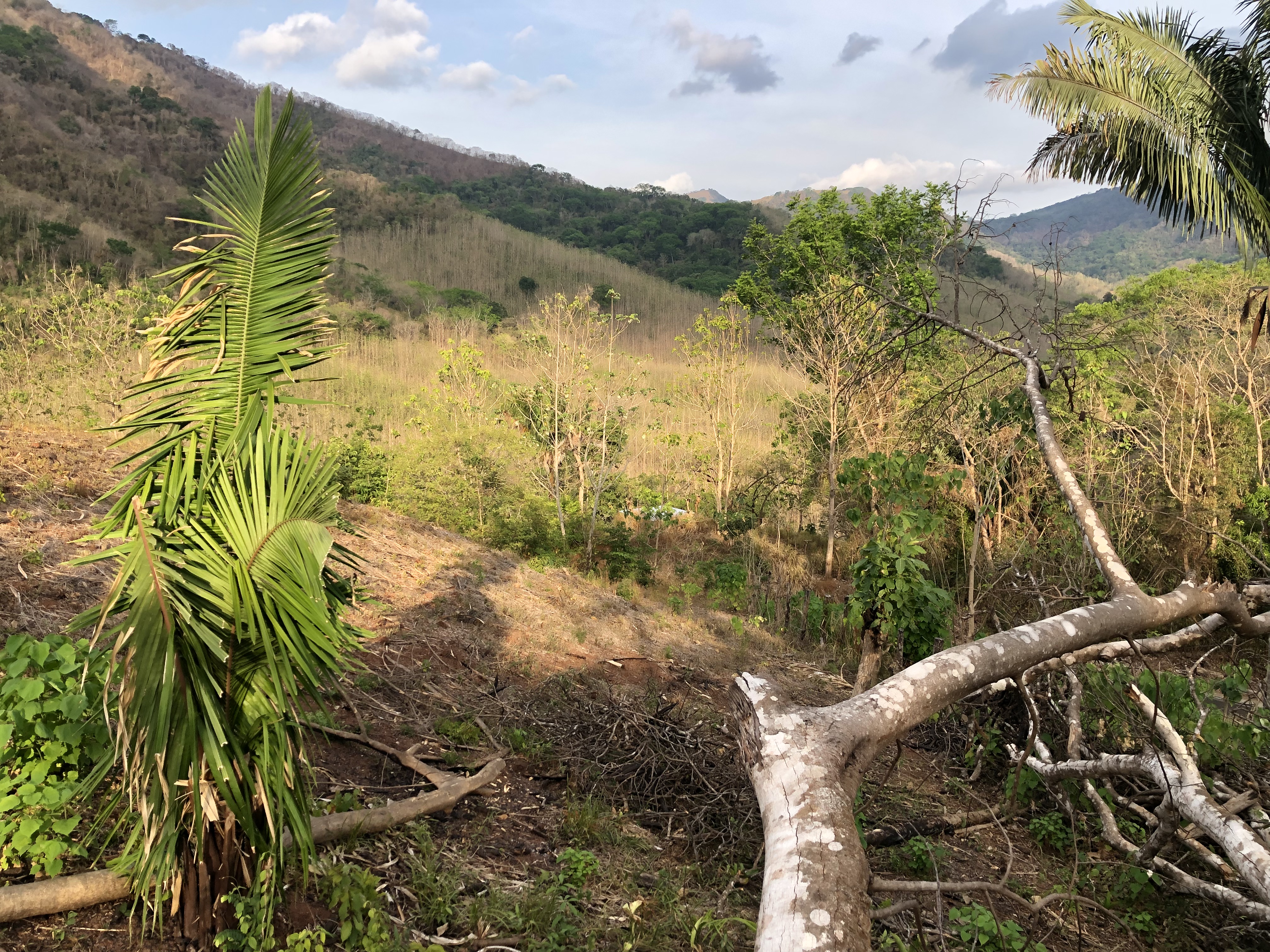 0 bed Land For Sale in Samara, Guanacaste - thumb 7