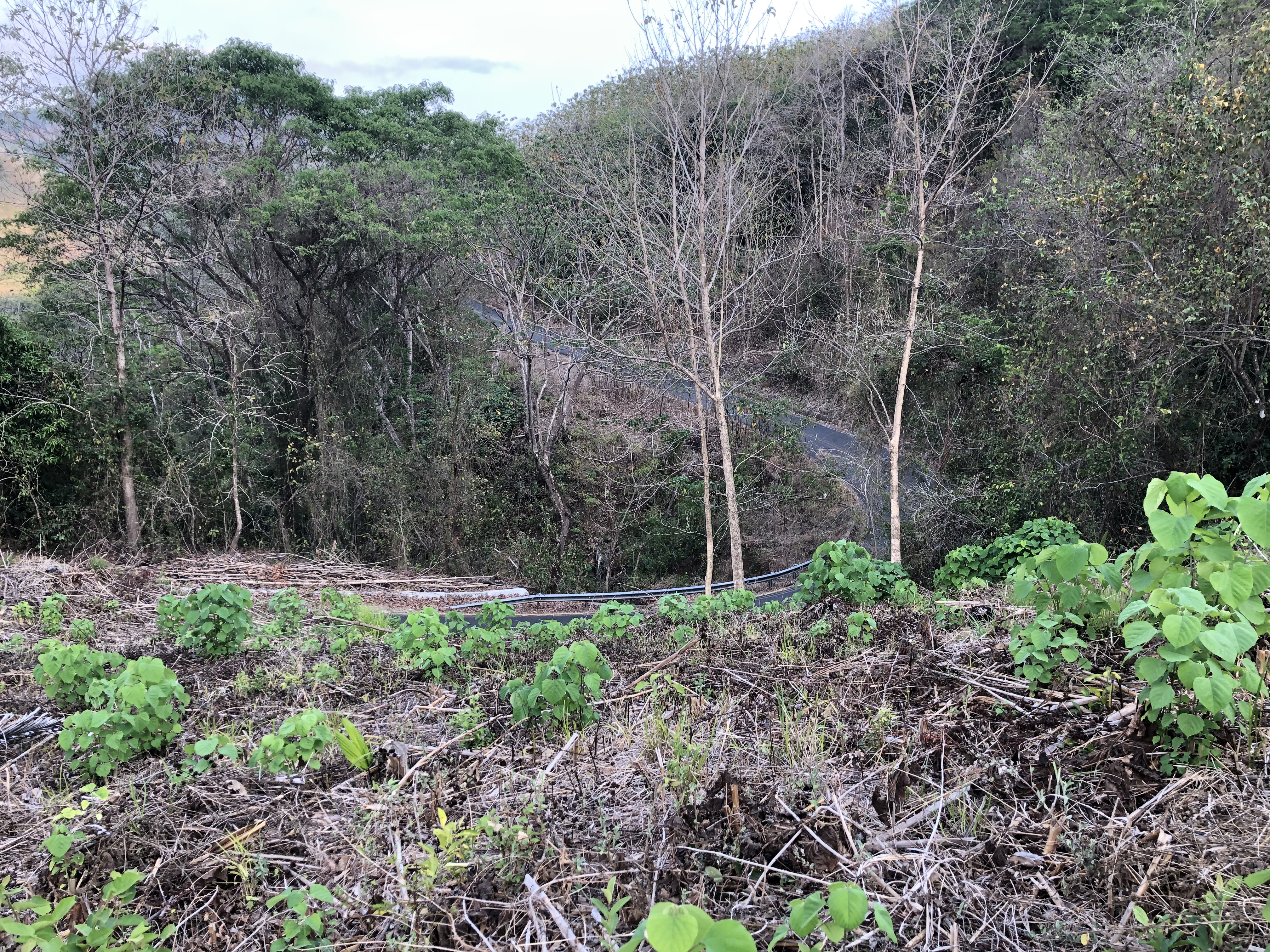 0 bed Land For Sale in Samara, Guanacaste - thumb 11