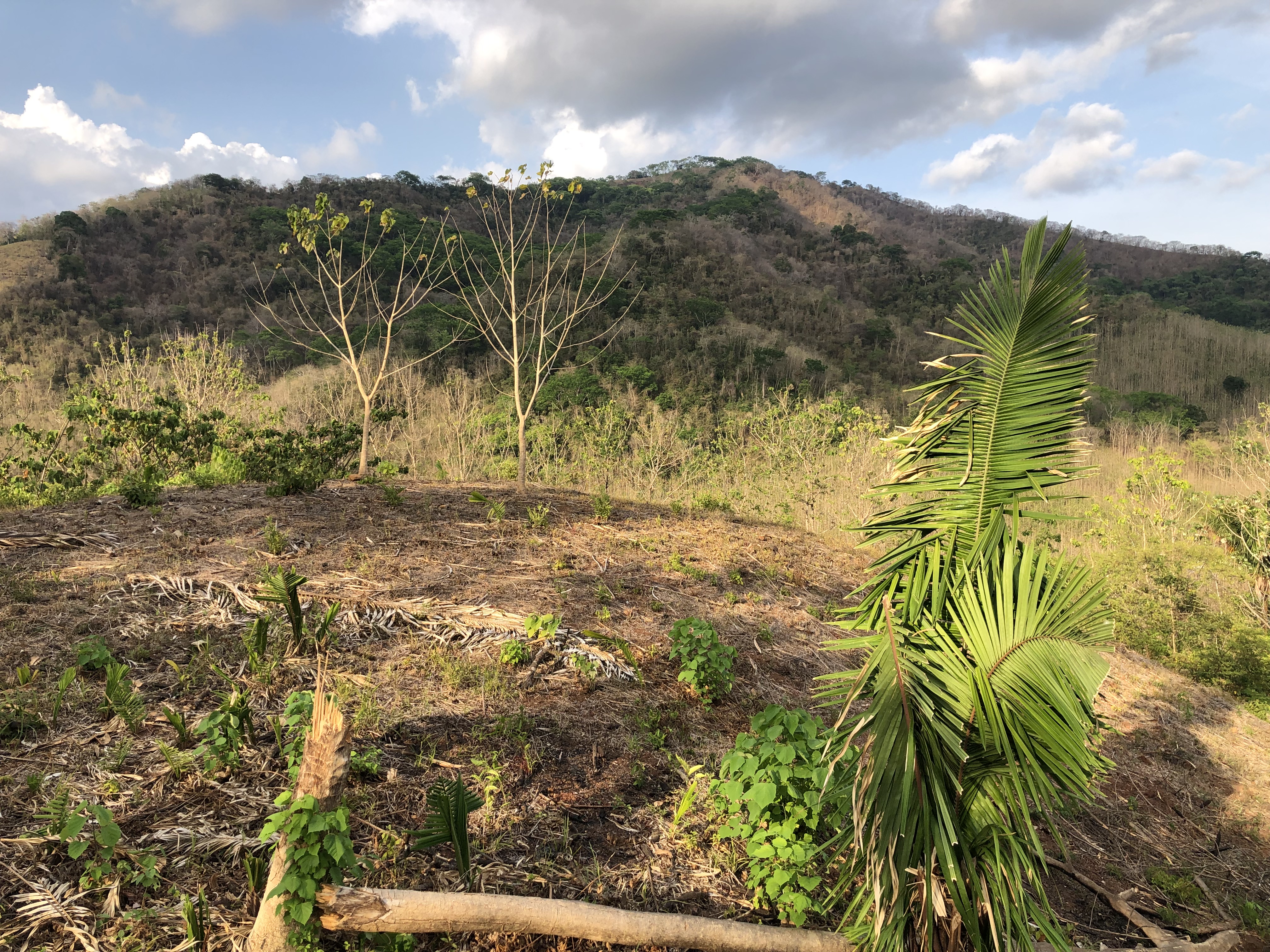 0 bed Land For Sale in Samara, Guanacaste - thumb 8