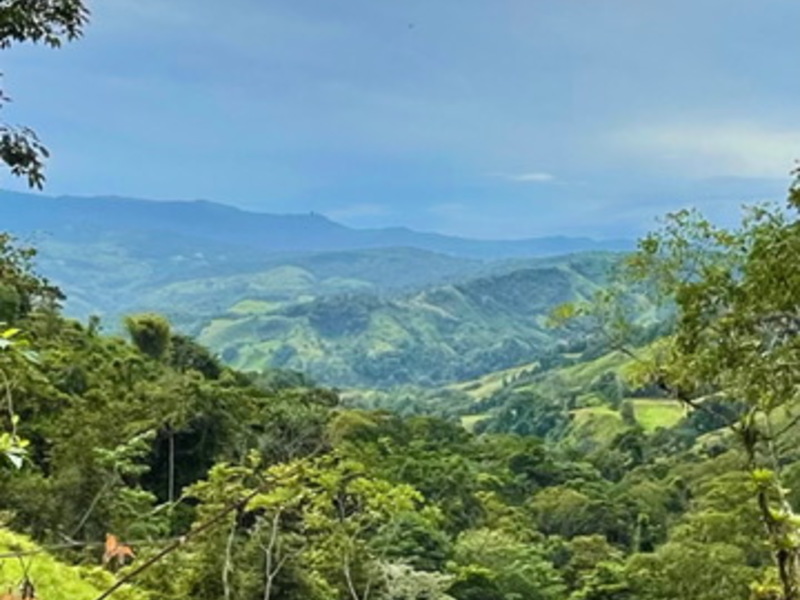 0 bed Land For Sale in Dominical, Puntarenas - 1
