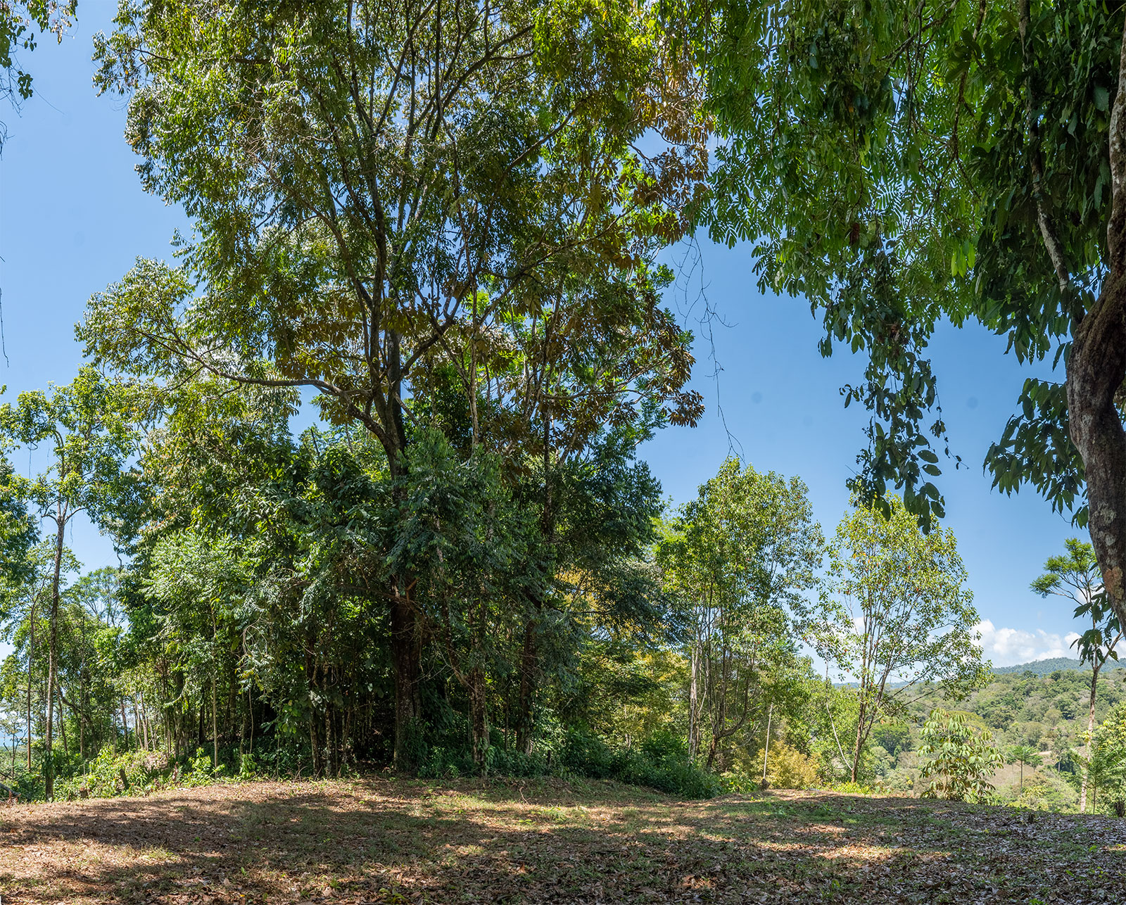 0 bed Land For Sale in Uvita, Puntarenas - thumb 5