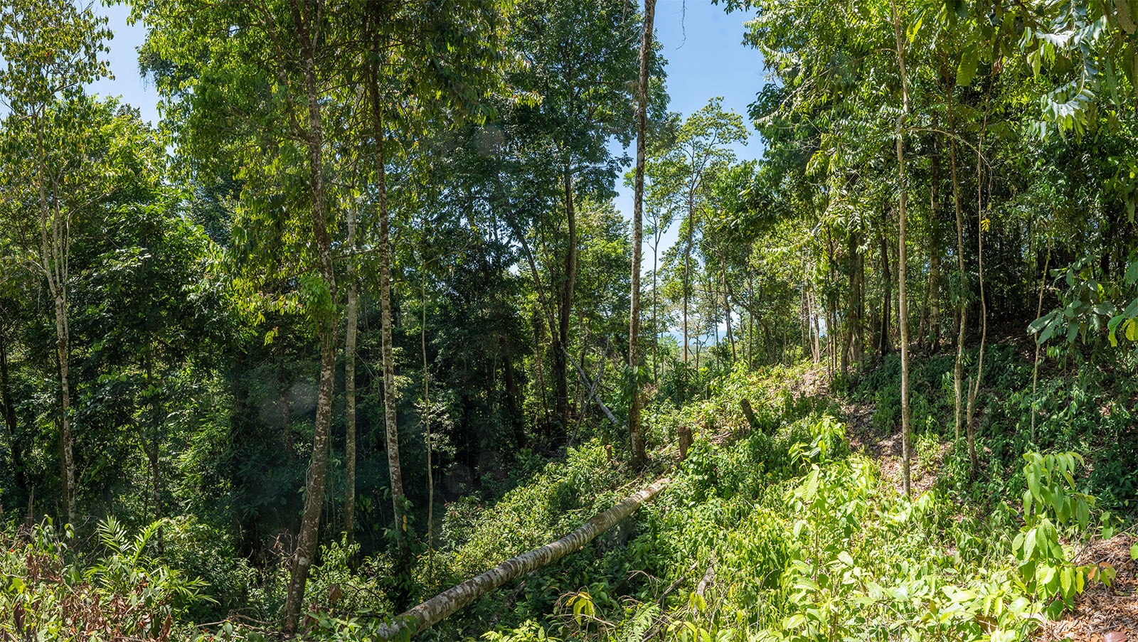 0 bed Land For Sale in Uvita, Puntarenas - thumb 8