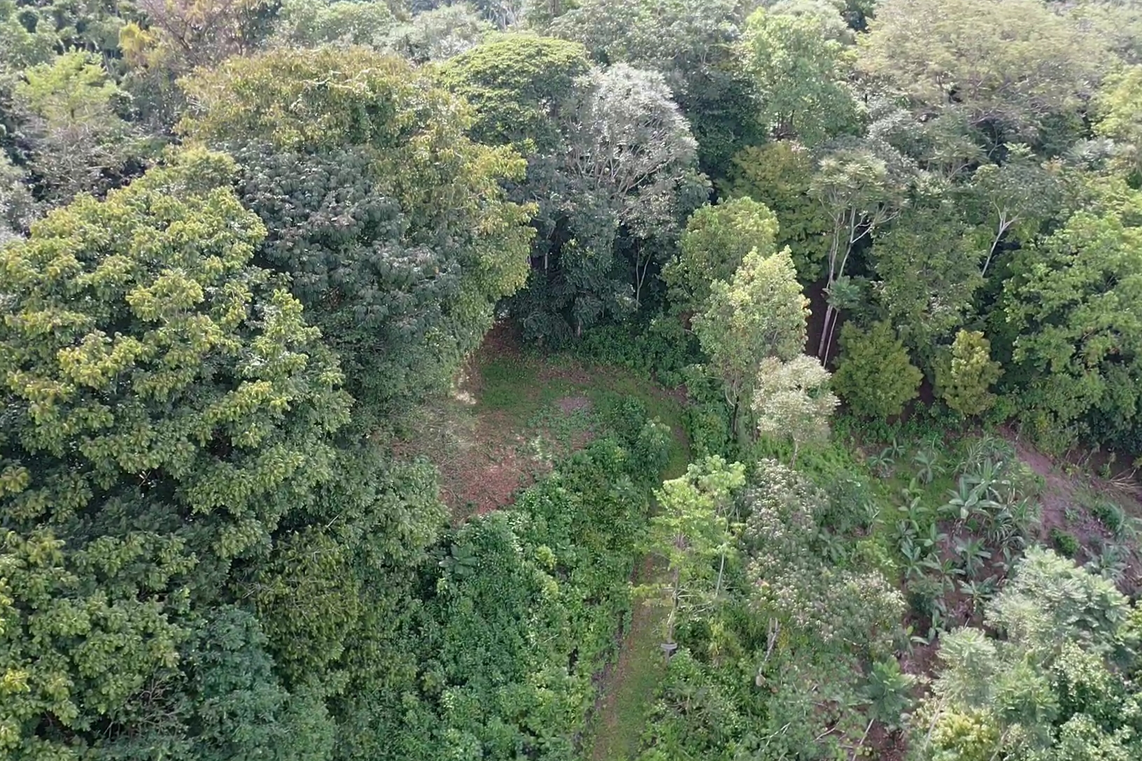 0 bed Land For Sale in Uvita, Puntarenas - thumb 16