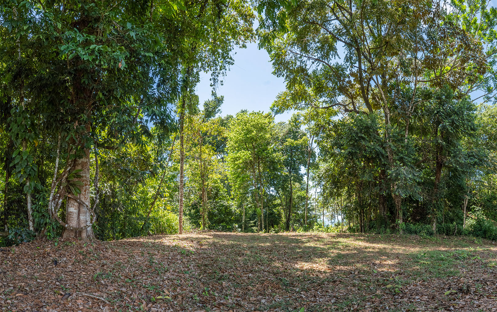 0 bed Land For Sale in Uvita, Puntarenas - thumb 6