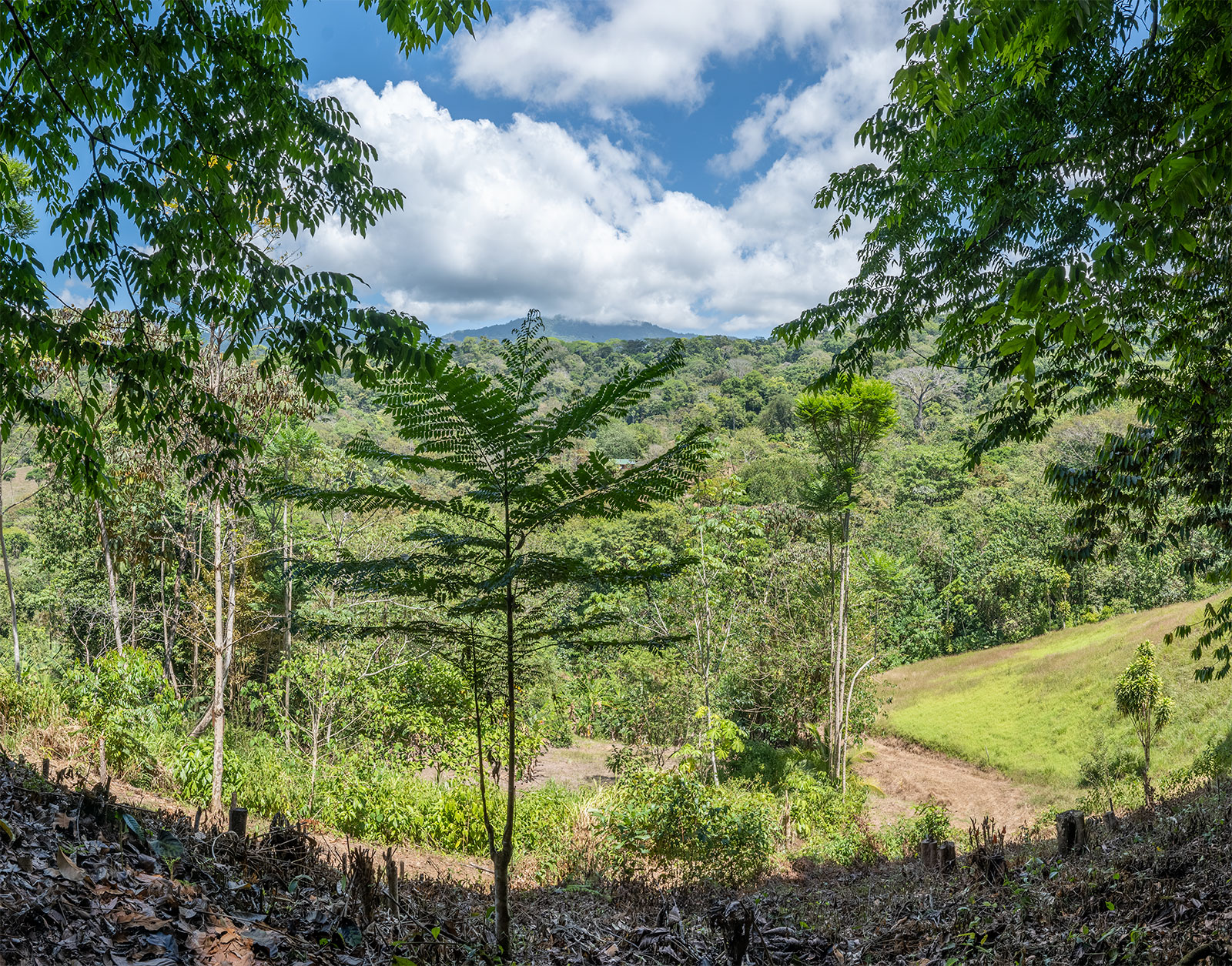 0 bed Land For Sale in Uvita, Puntarenas - thumb 7