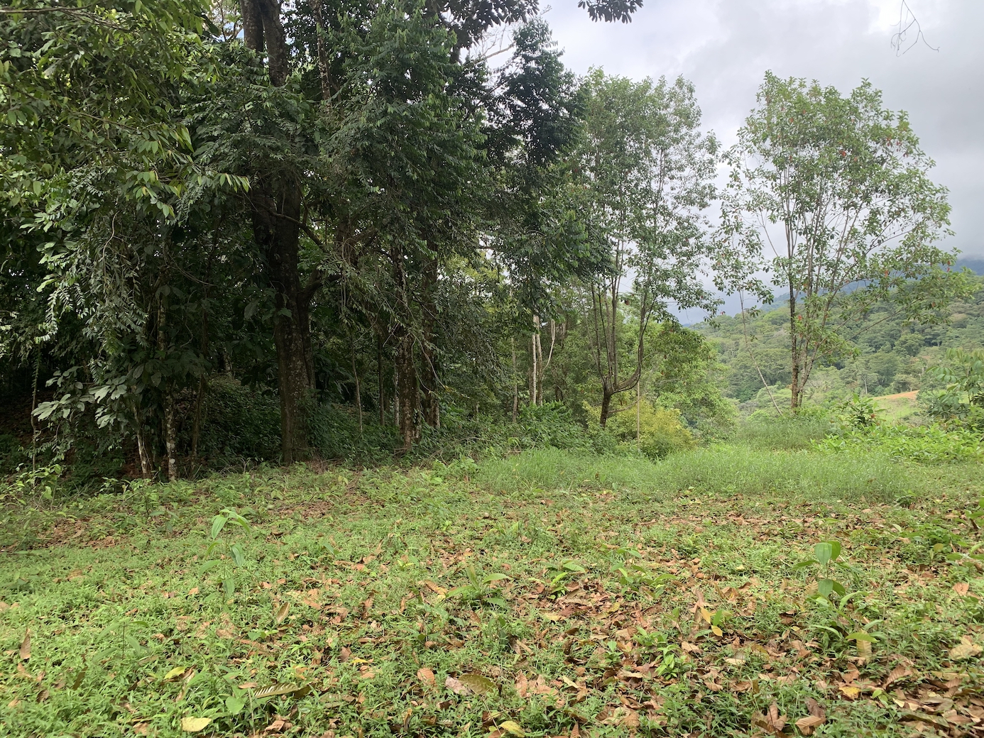 0 bed Land For Sale in Uvita, Puntarenas - thumb 12