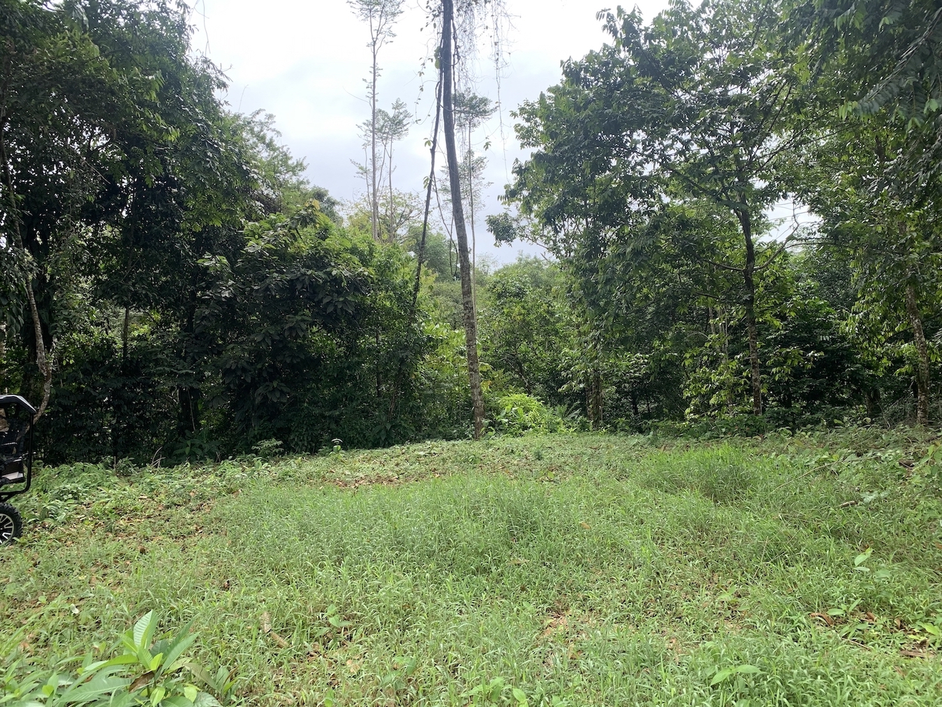 0 bed Land For Sale in Uvita, Puntarenas - thumb 13