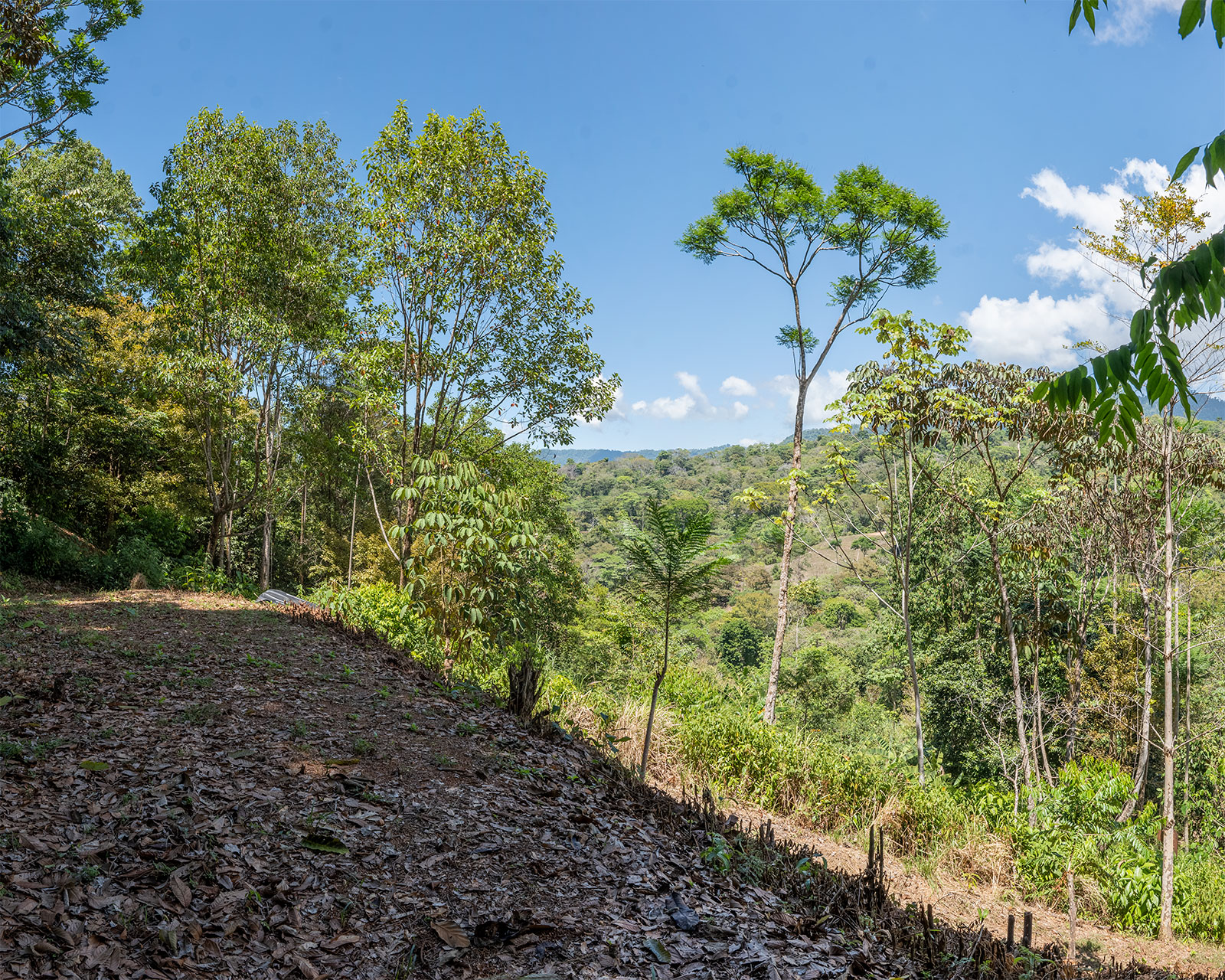 0 bed Land For Sale in Uvita, Puntarenas - thumb 2