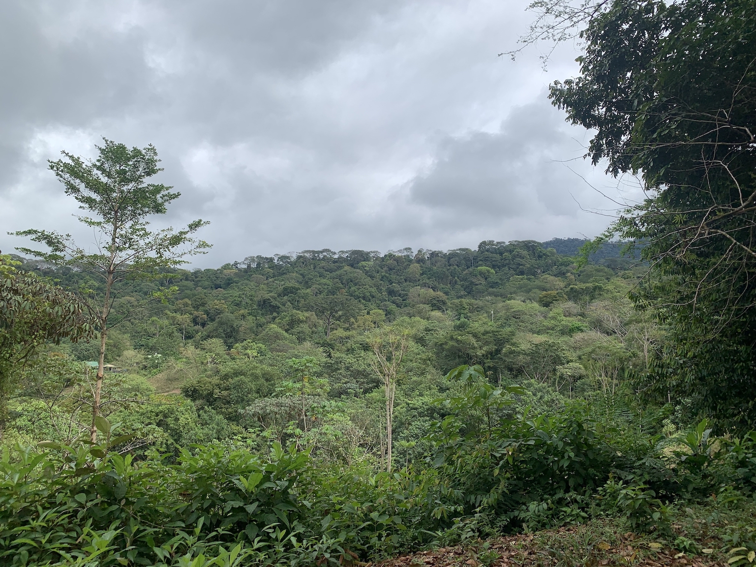 0 bed Land For Sale in Uvita, Puntarenas - thumb 10