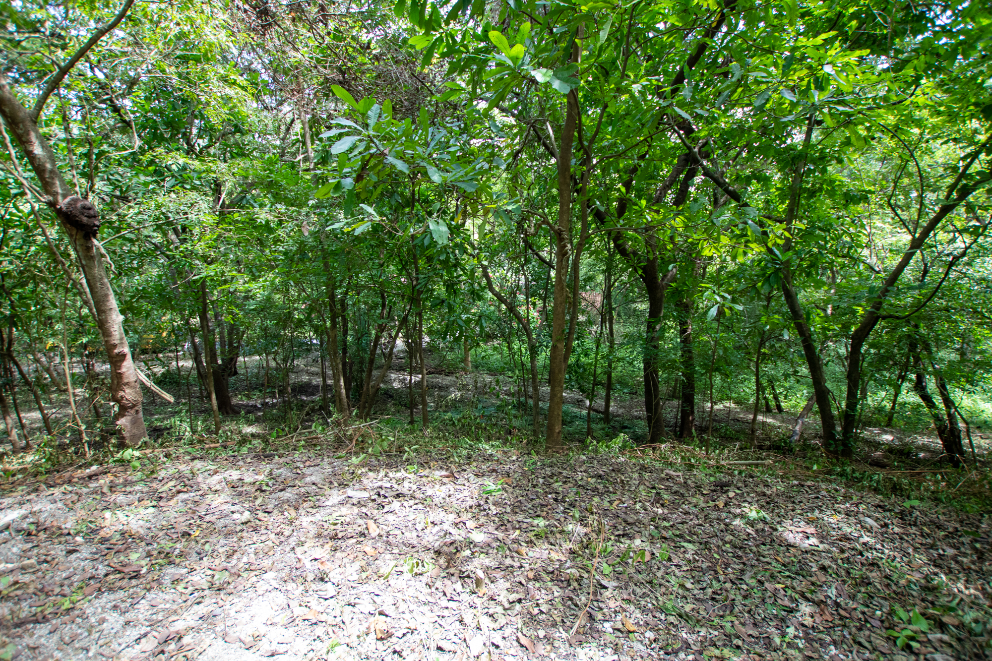 0 bed Land For Sale in Nosara, Guanacaste - thumb 12