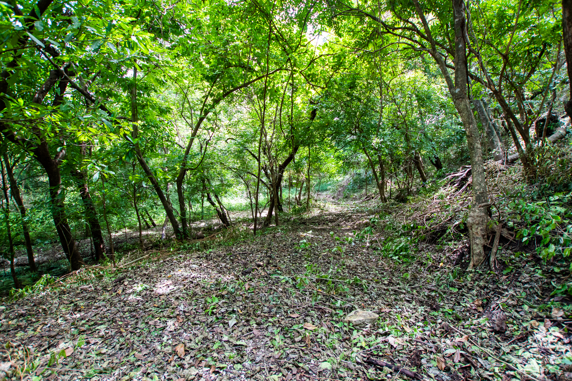 0 bed Land For Sale in Nosara, Guanacaste - thumb 10