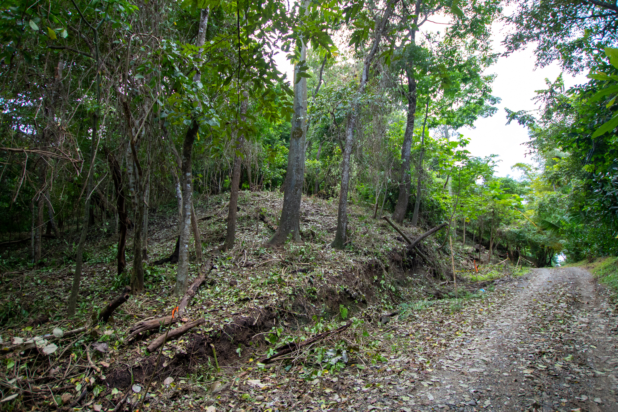 0 bed Land For Sale in Nosara, Guanacaste - thumb 2