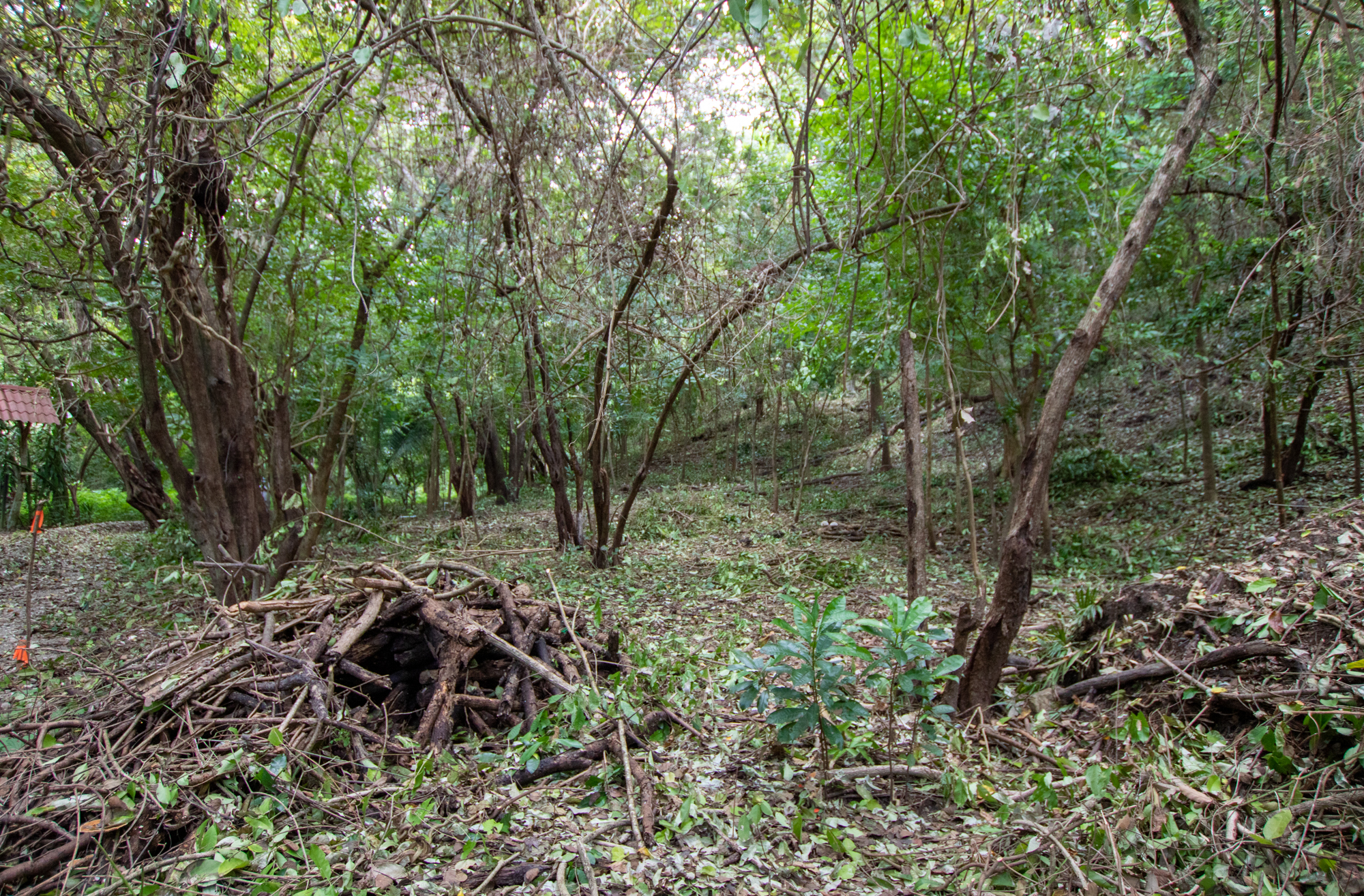 0 bed Land For Sale in Nosara, Guanacaste - thumb 4