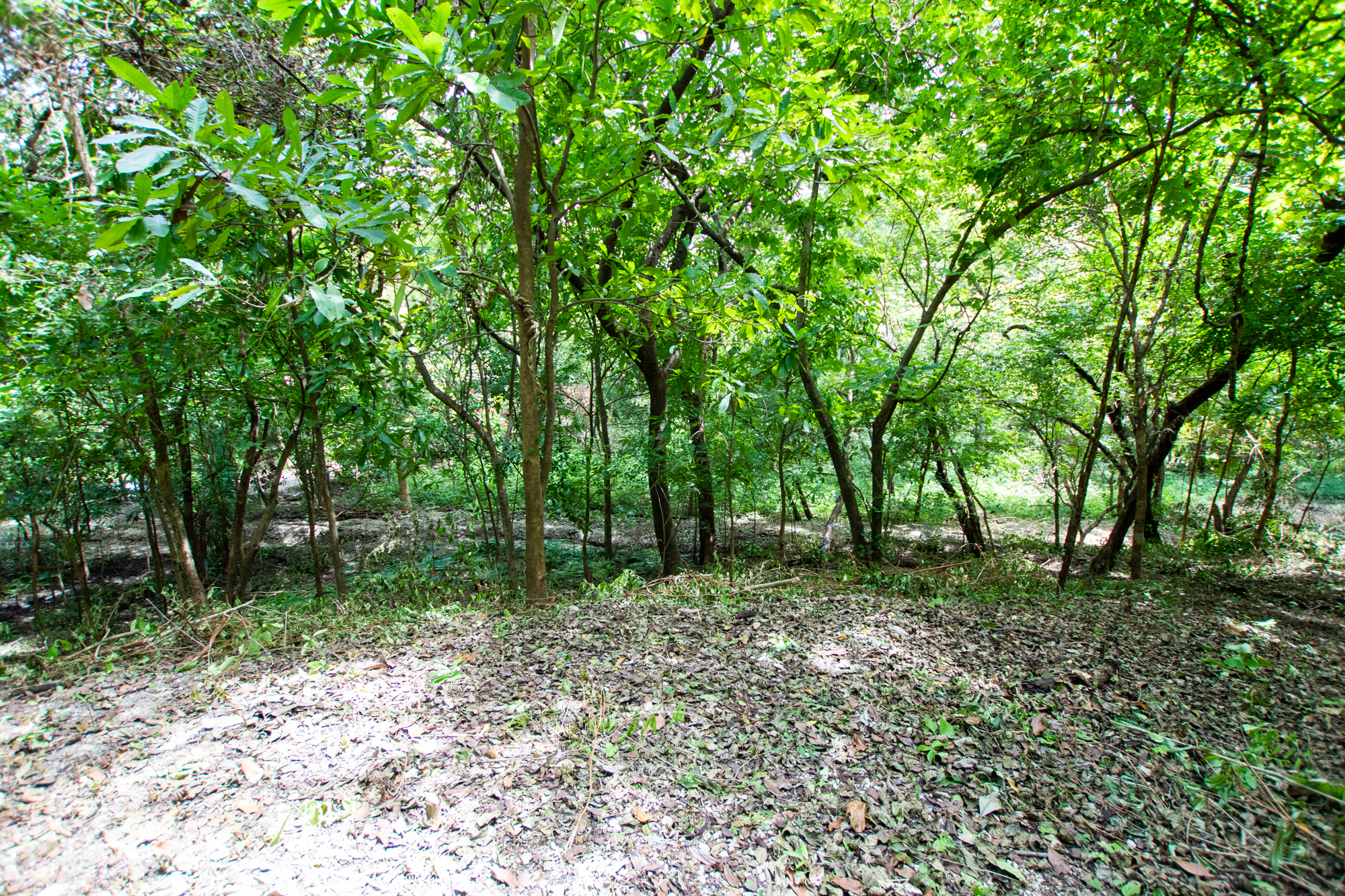 0 bed Land For Sale in Nosara, Guanacaste - thumb 11