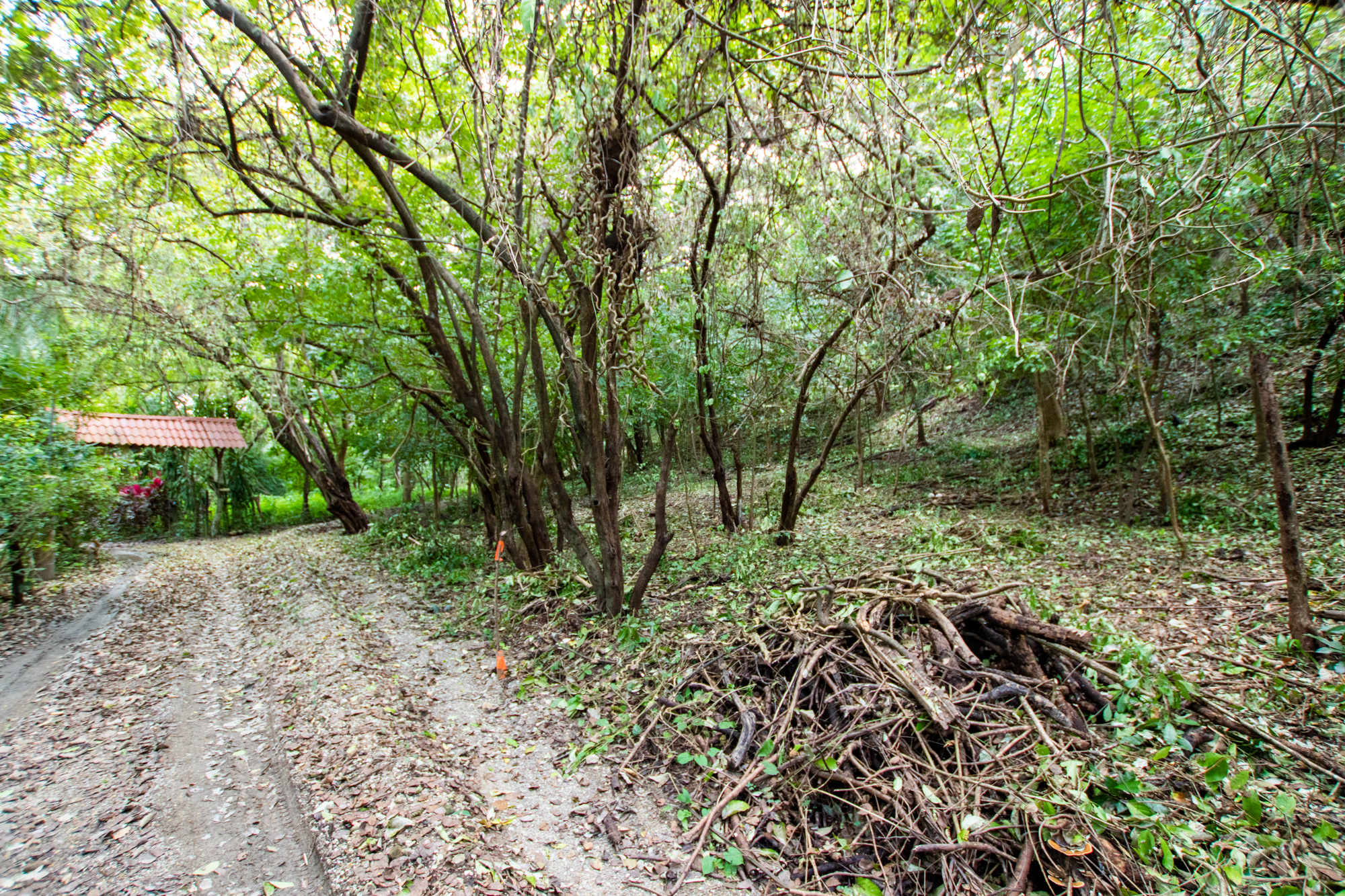0 bed Land For Sale in Nosara, Guanacaste - thumb 6