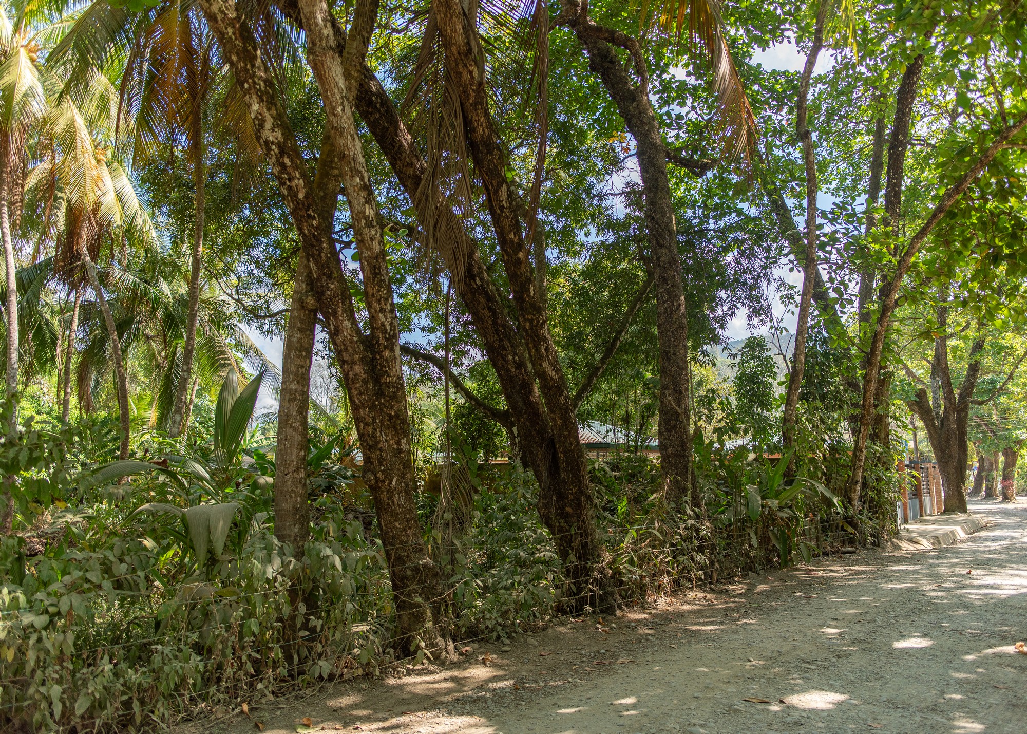 16 bed Commercial For Sale in Dominical, Puntarenas - thumb 28