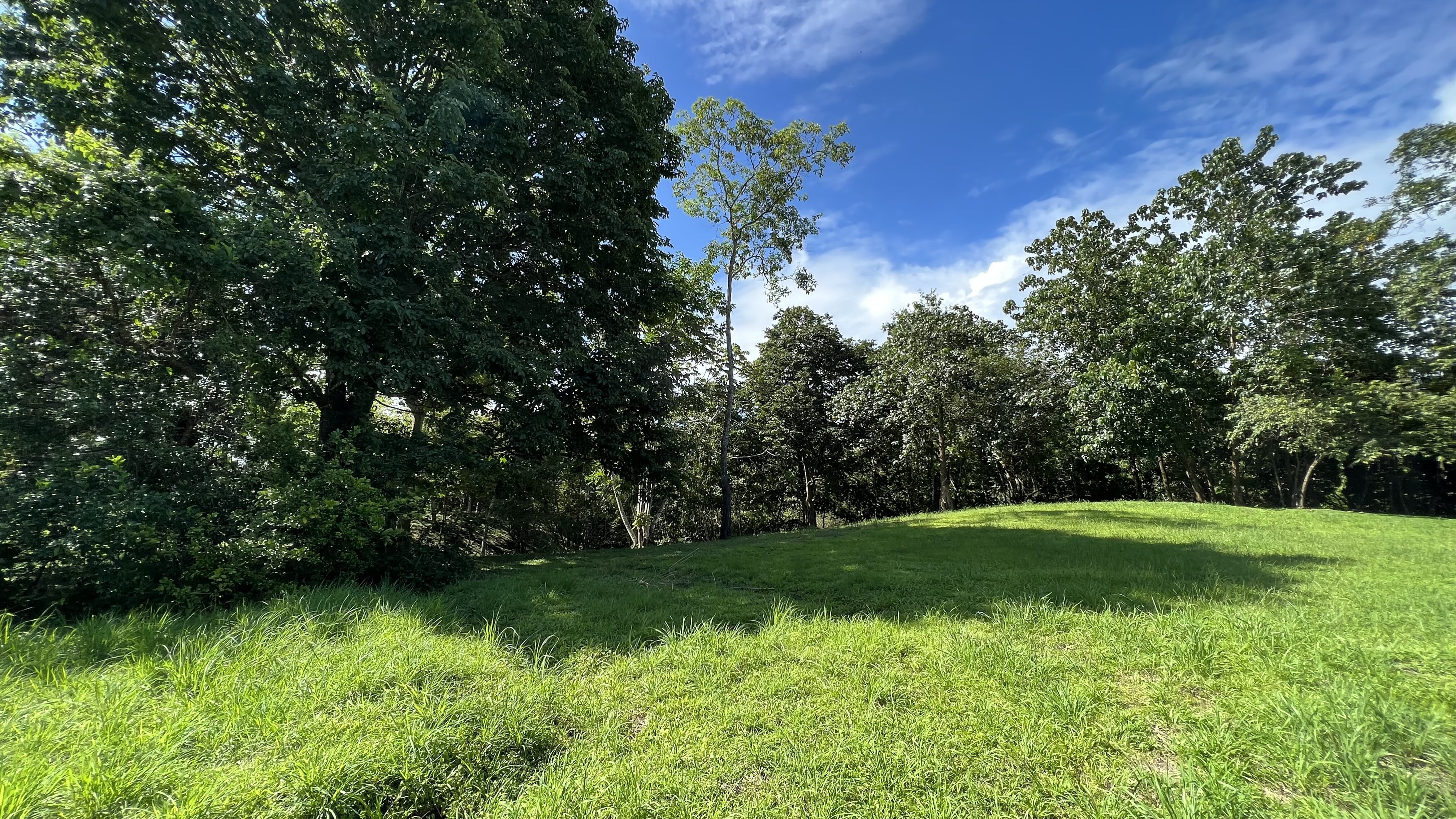 0 bed Land For Sale in Delicias, Puntarenas - thumb 9