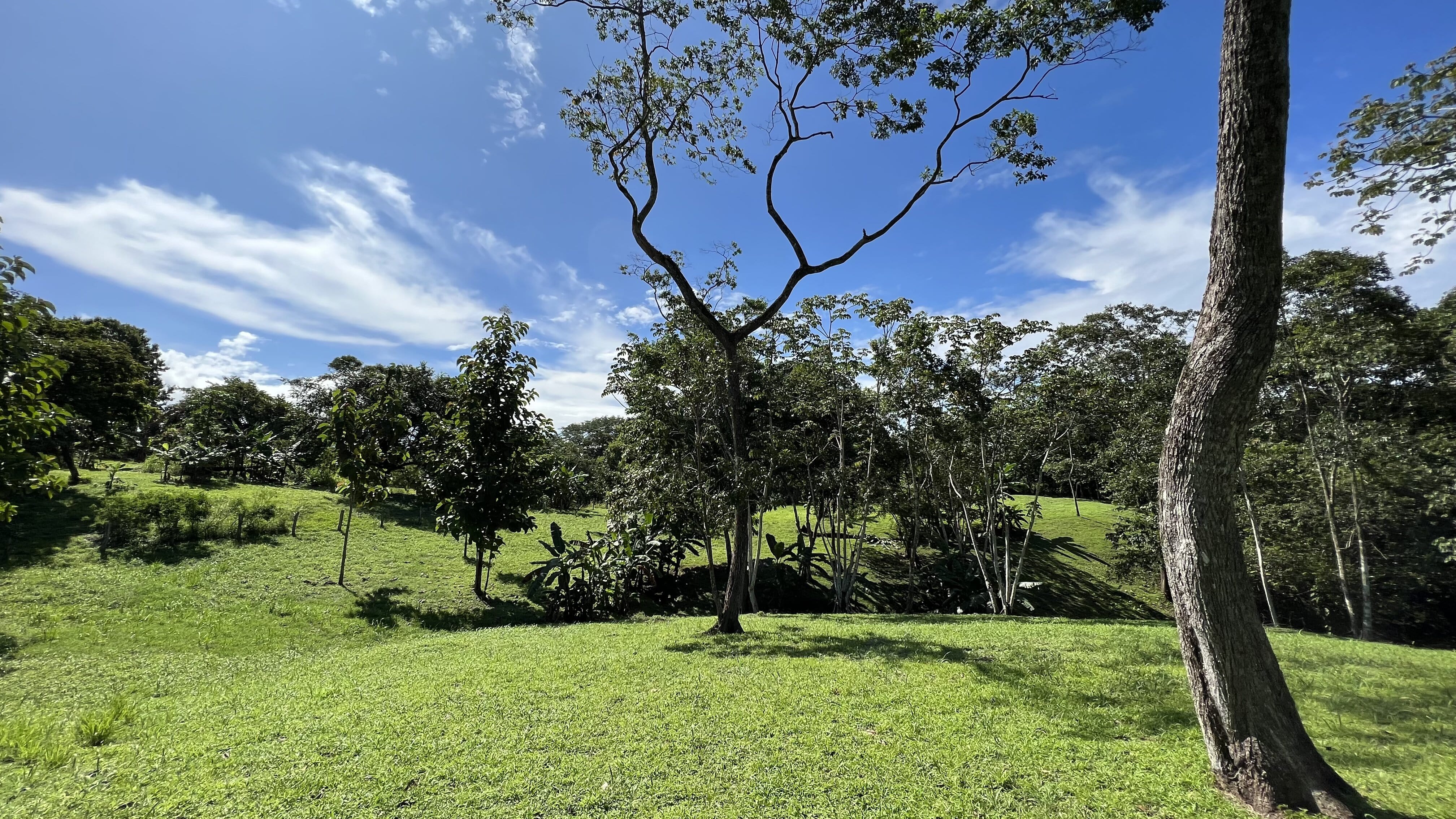 0 bed Land For Sale in Delicias, Puntarenas - thumb 6