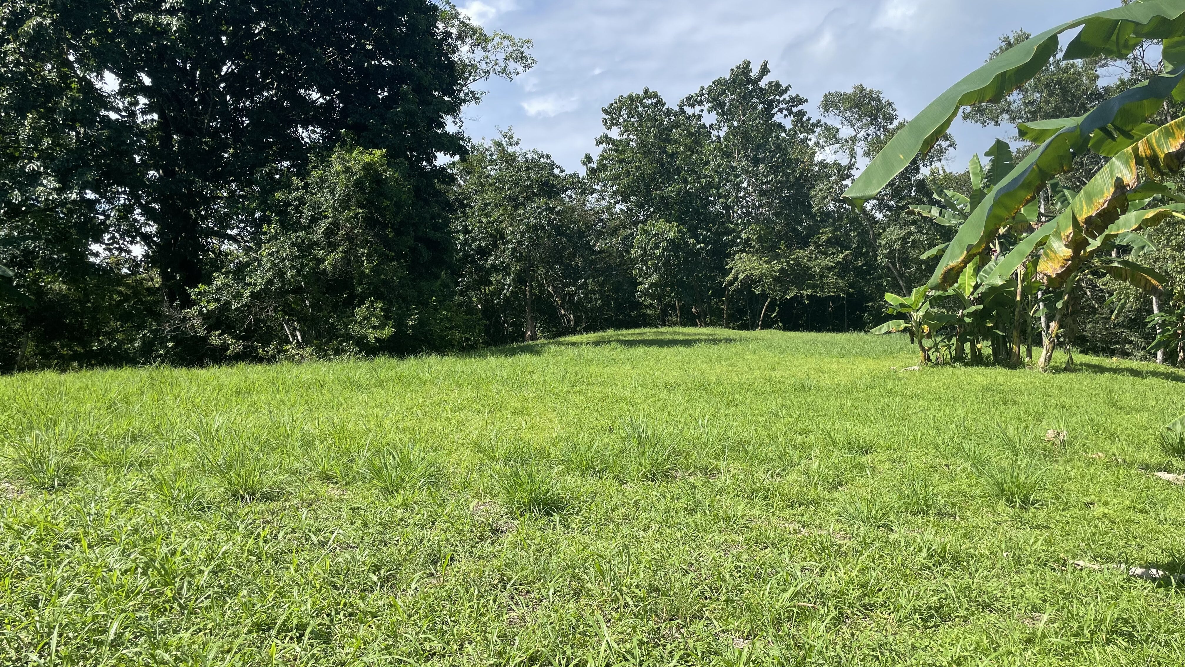 0 bed Land For Sale in Delicias, Puntarenas - thumb 18