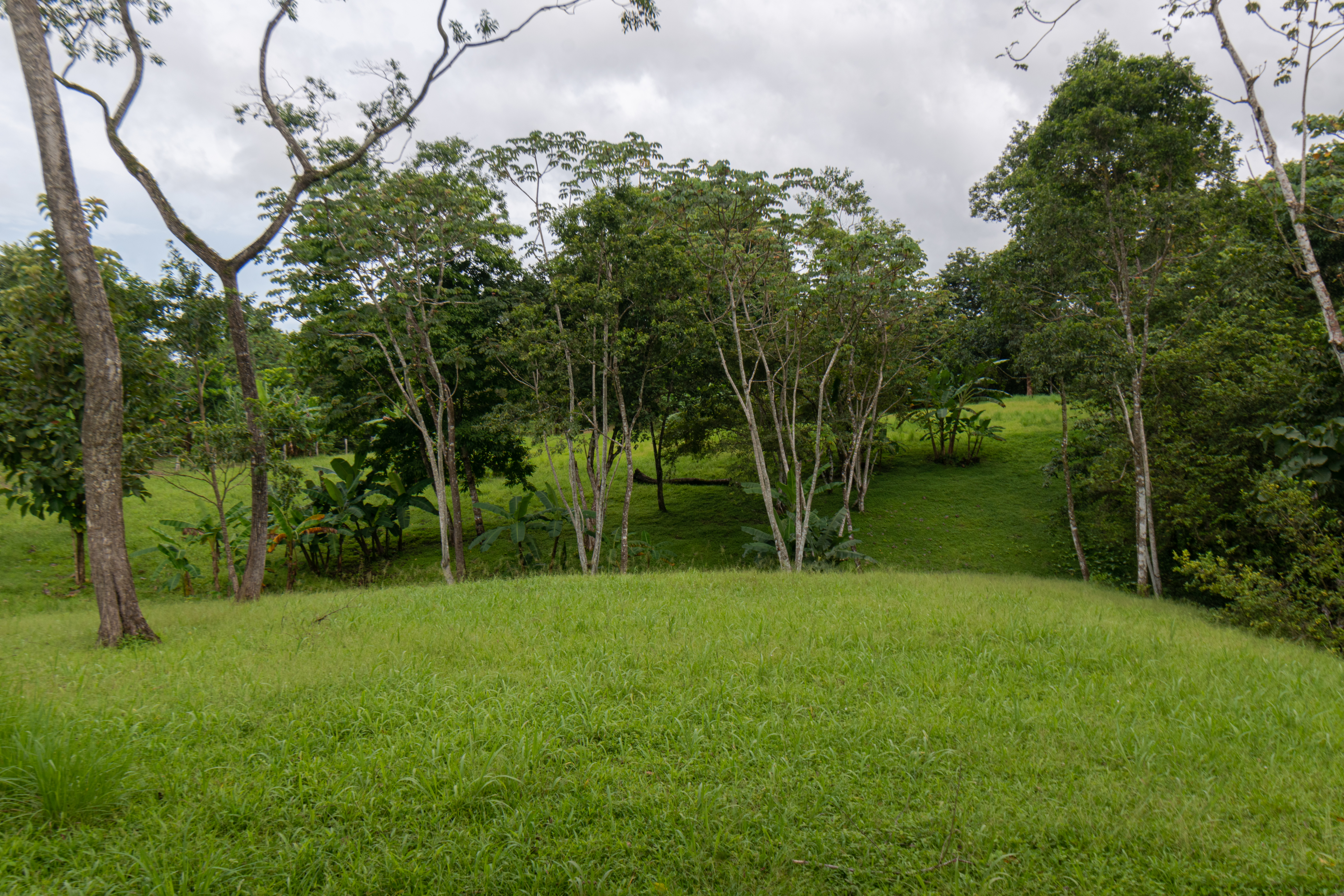 0 bed Land For Sale in Delicias, Puntarenas - thumb 2