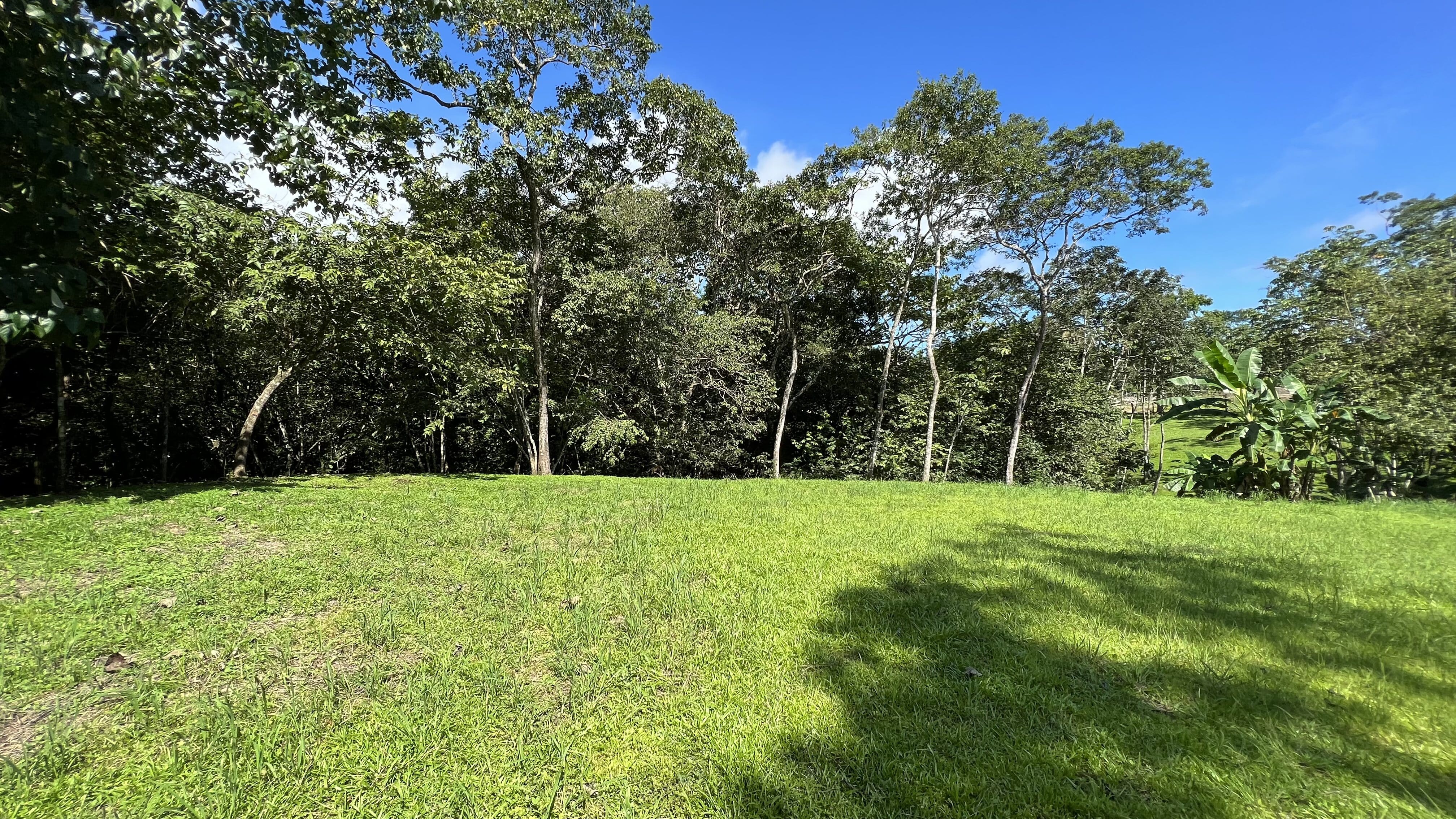 0 bed Land For Sale in Delicias, Puntarenas - thumb 12