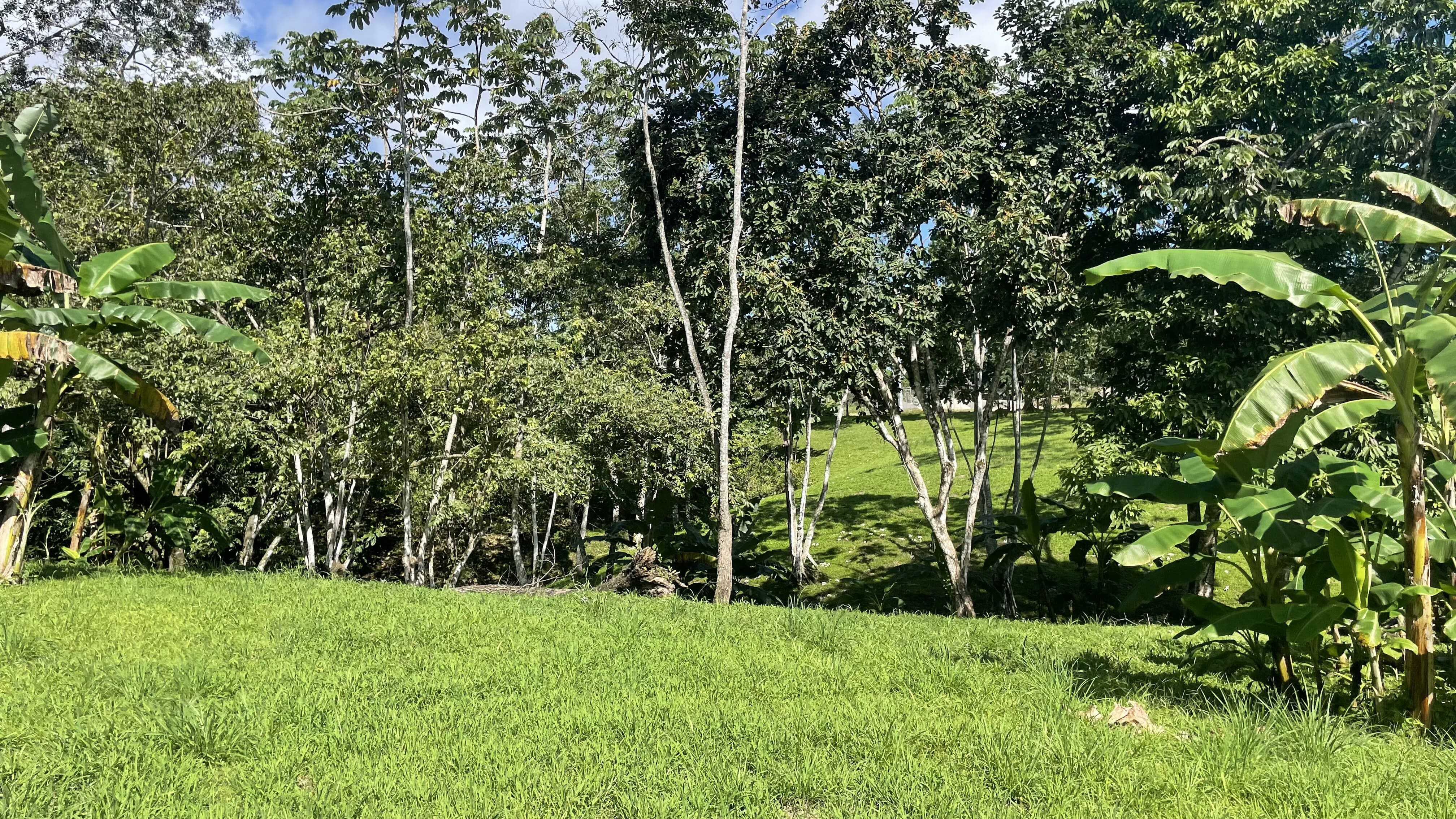 0 bed Land For Sale in Delicias, Puntarenas - thumb 19