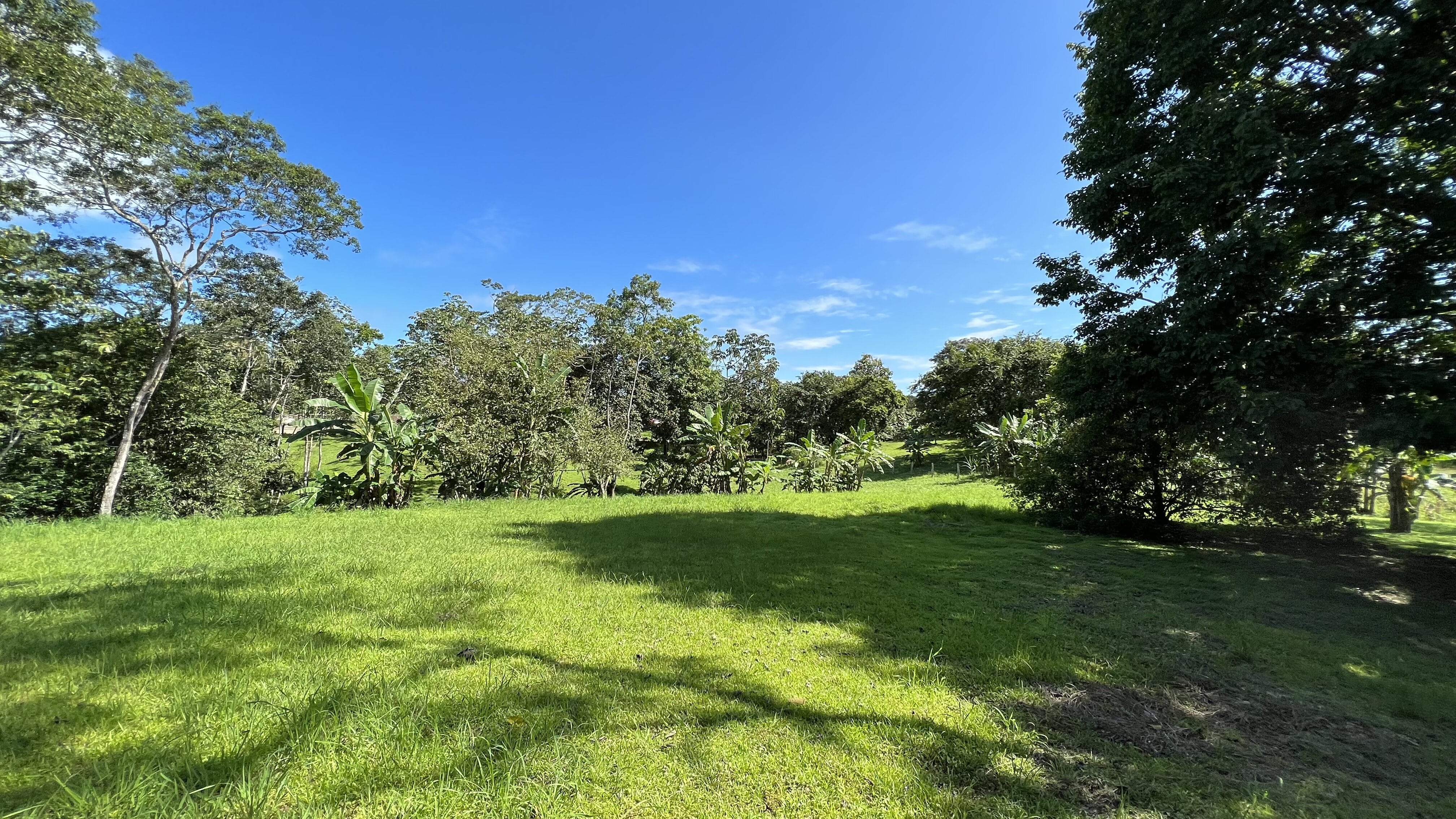 0 bed Land For Sale in Delicias, Puntarenas - thumb 11