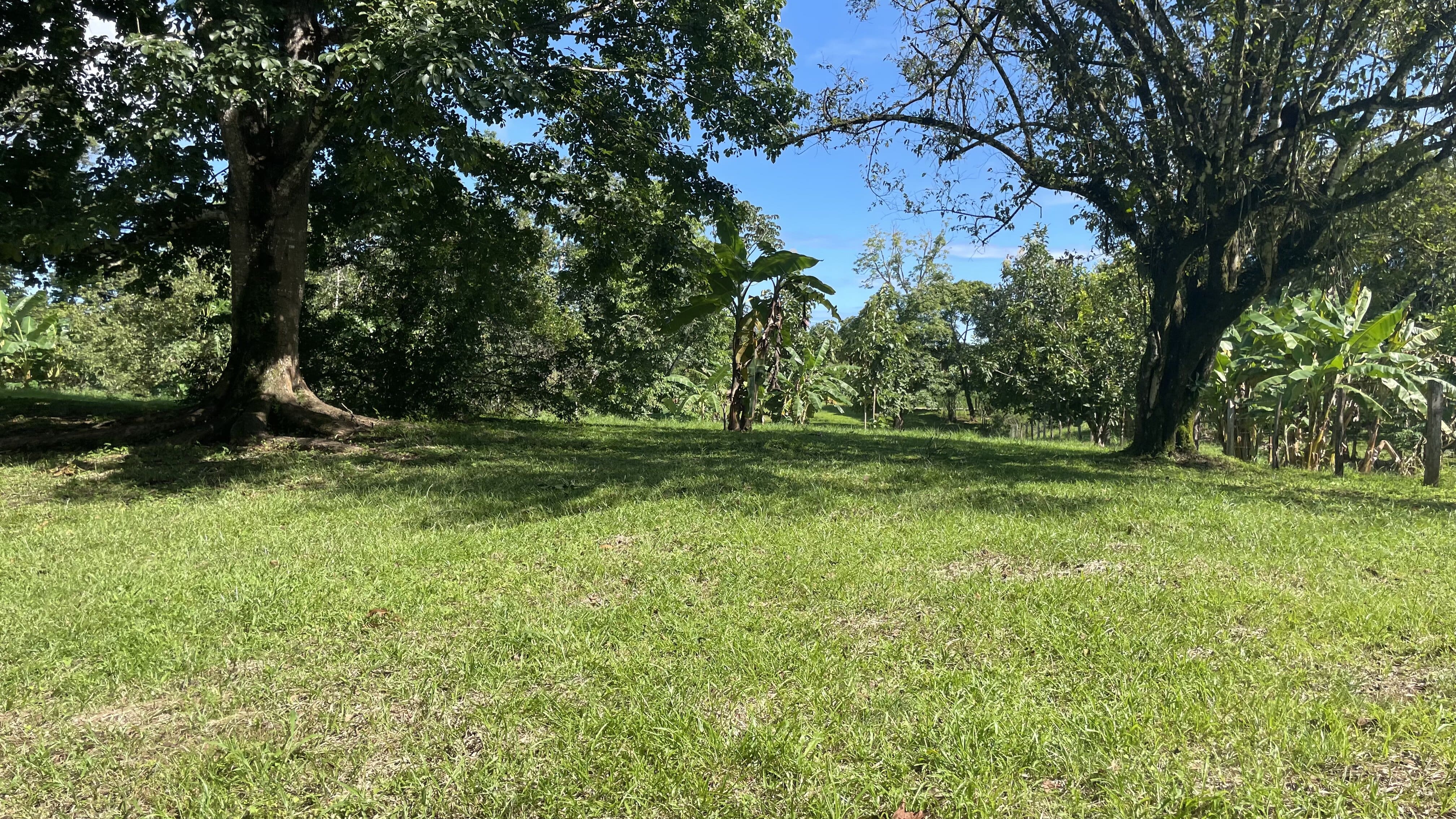 0 bed Land For Sale in Delicias, Puntarenas - thumb 21