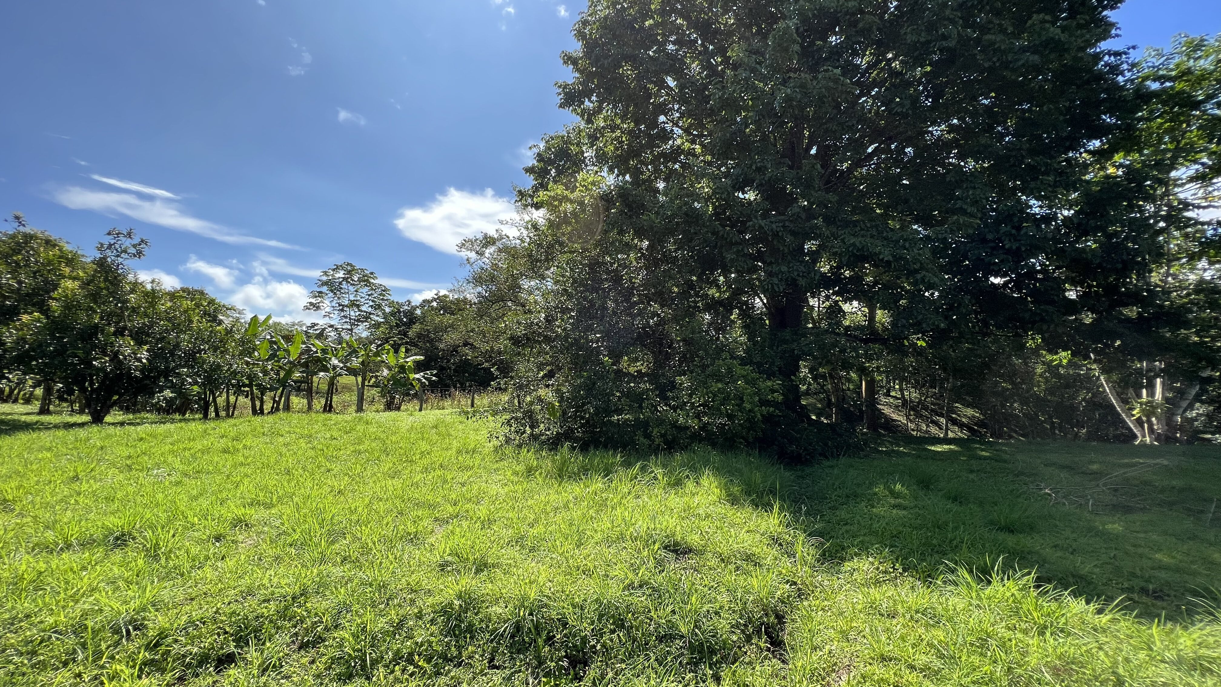 0 bed Land For Sale in Delicias, Puntarenas - thumb 10