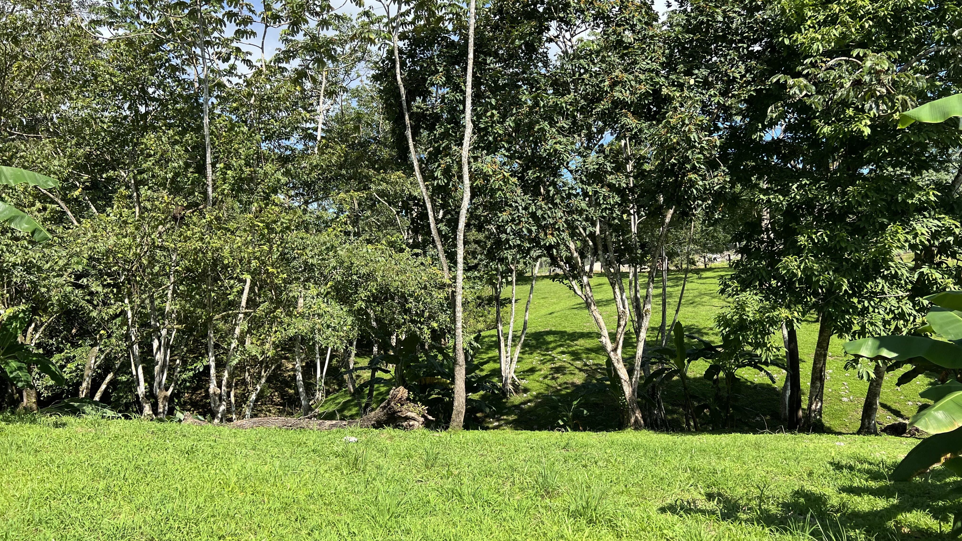 0 bed Land For Sale in Delicias, Puntarenas - thumb 8