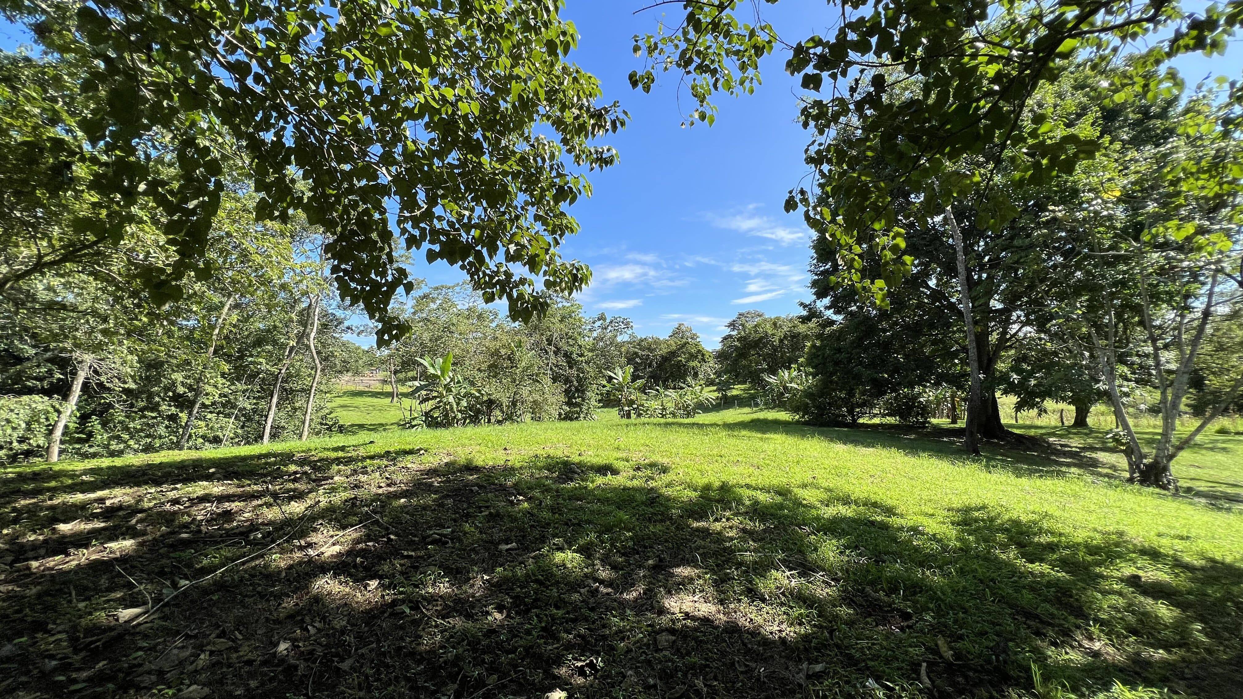 0 bed Land For Sale in Delicias, Puntarenas - thumb 13