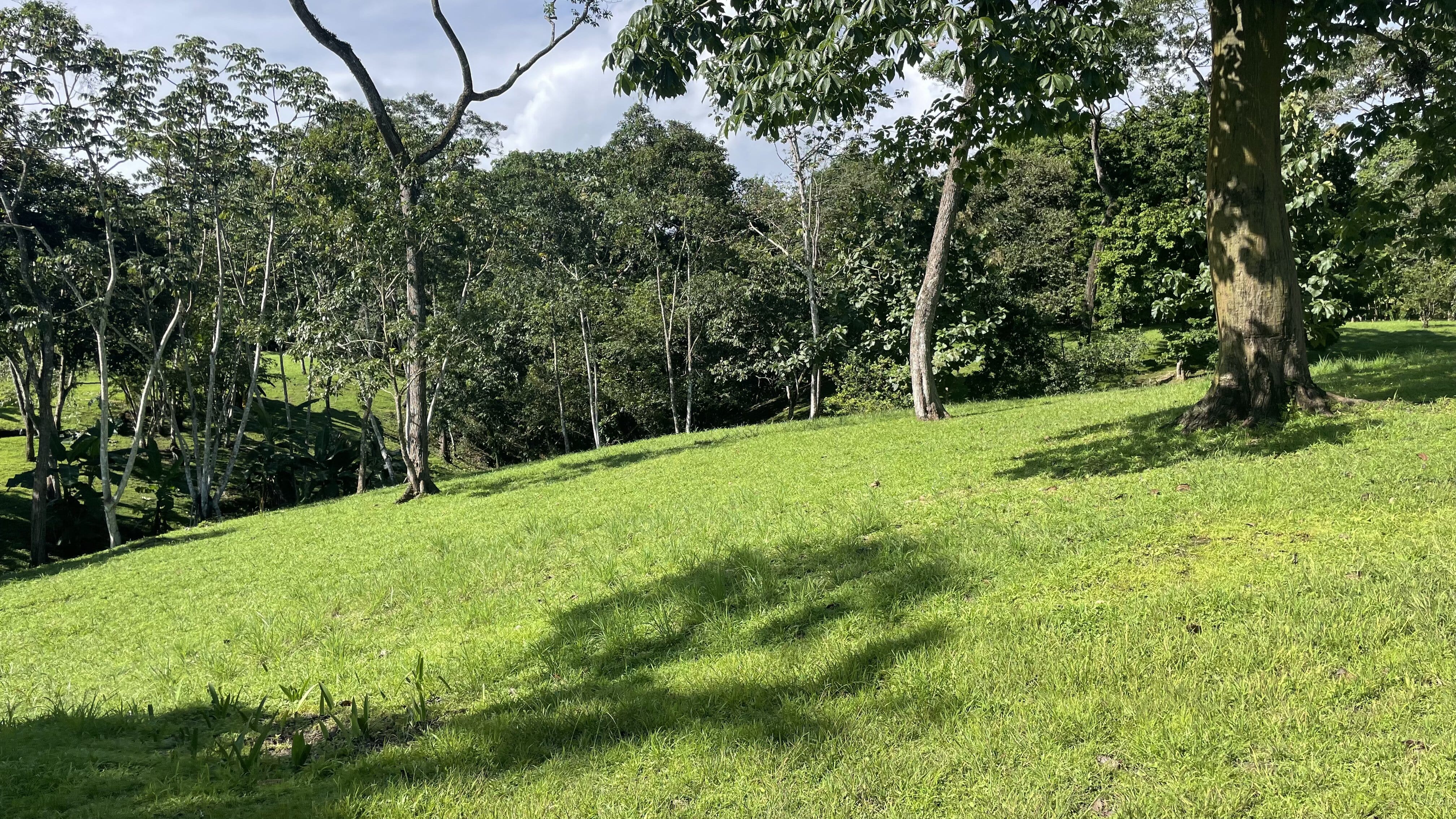 0 bed Land For Sale in Delicias, Puntarenas - thumb 22
