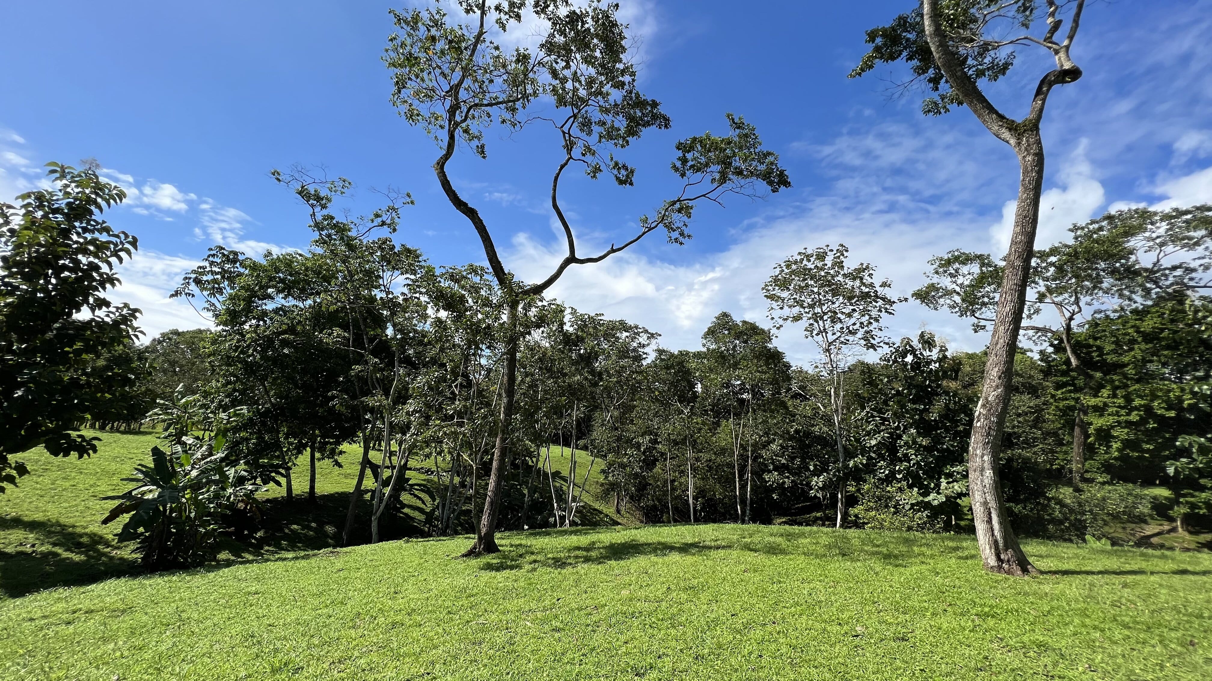 0 bed Land For Sale in Delicias, Puntarenas - thumb 7