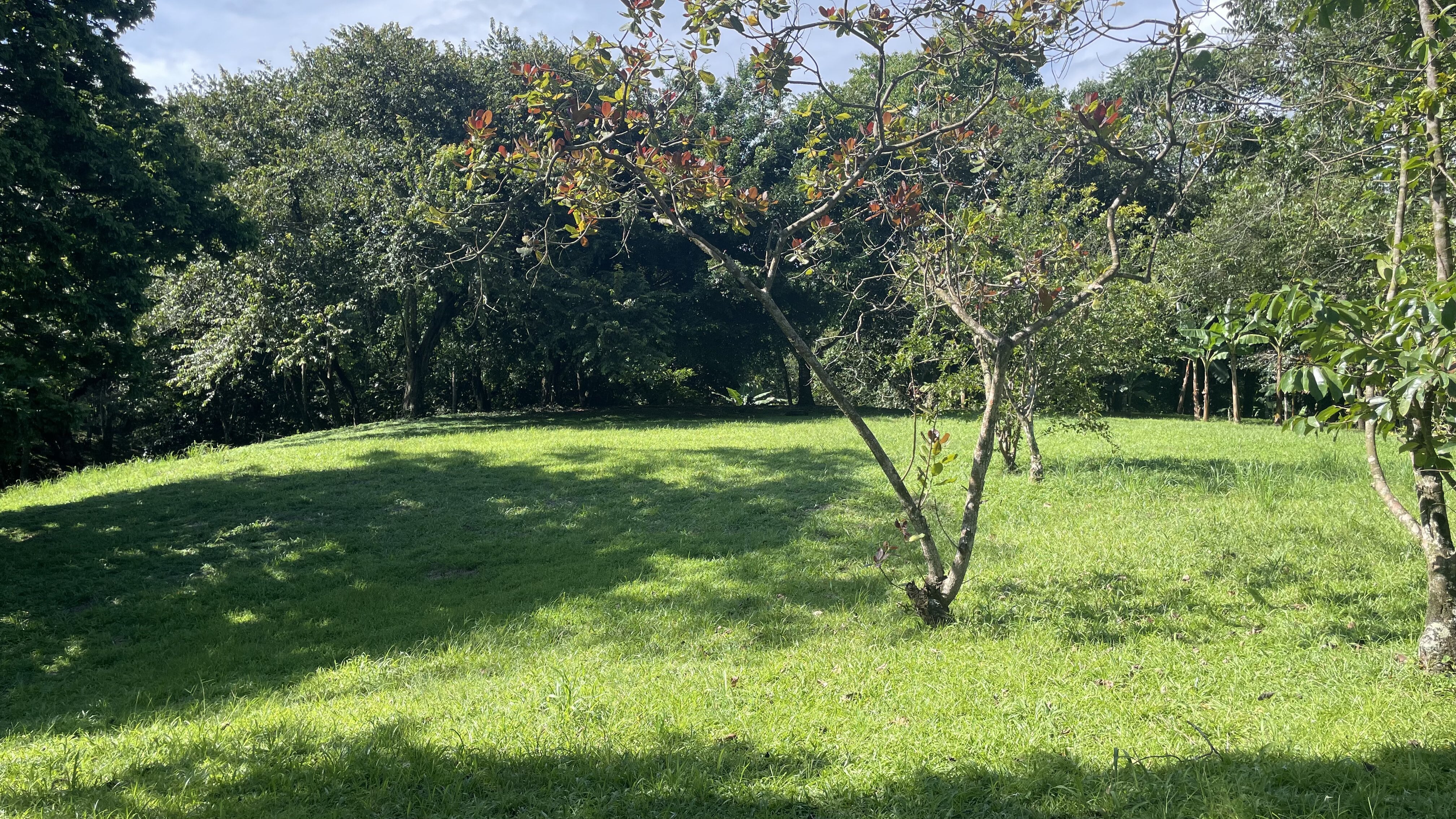 0 bed Land For Sale in Delicias, Puntarenas - thumb 24
