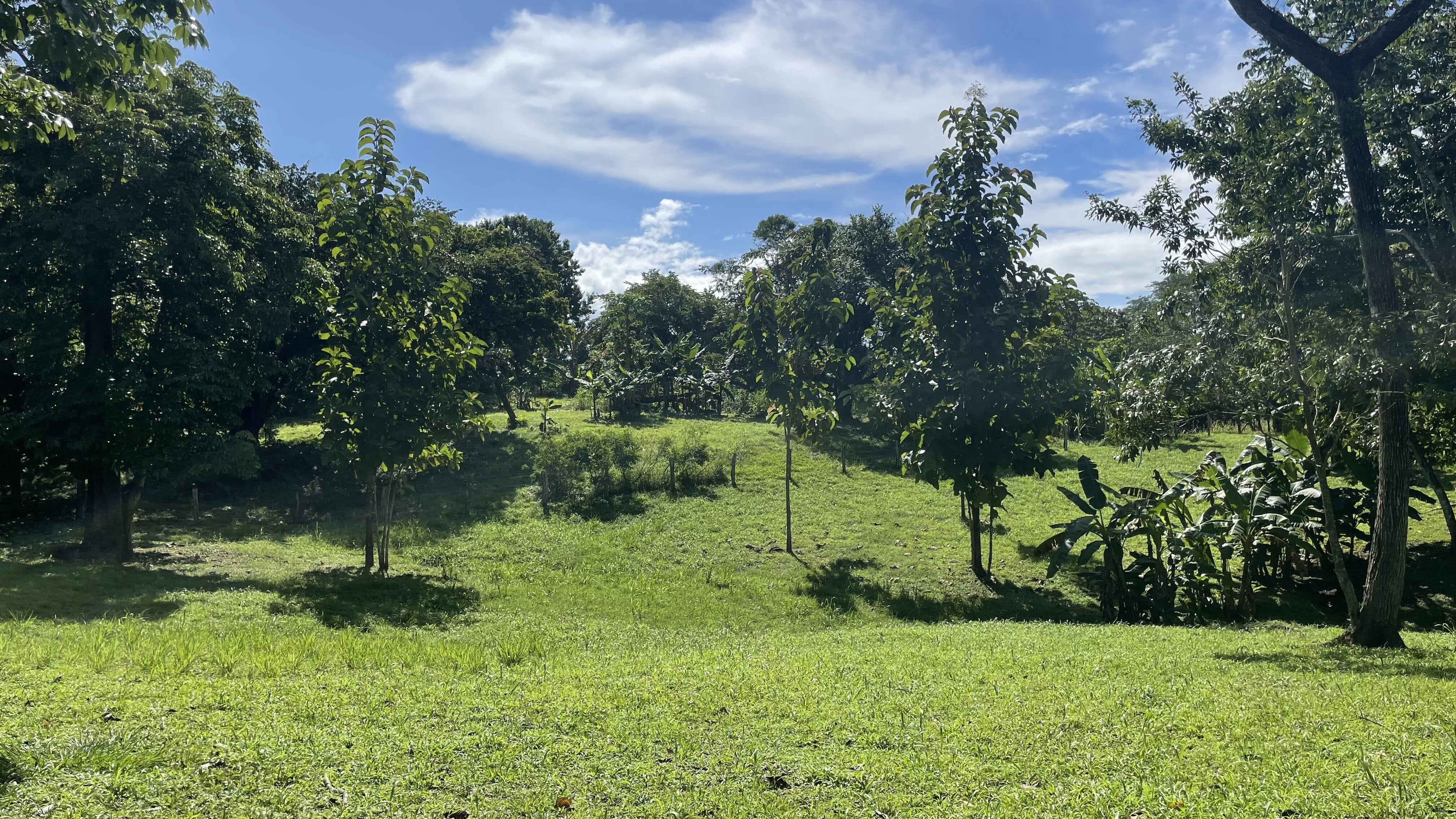 0 bed Land For Sale in Delicias, Puntarenas - thumb 16