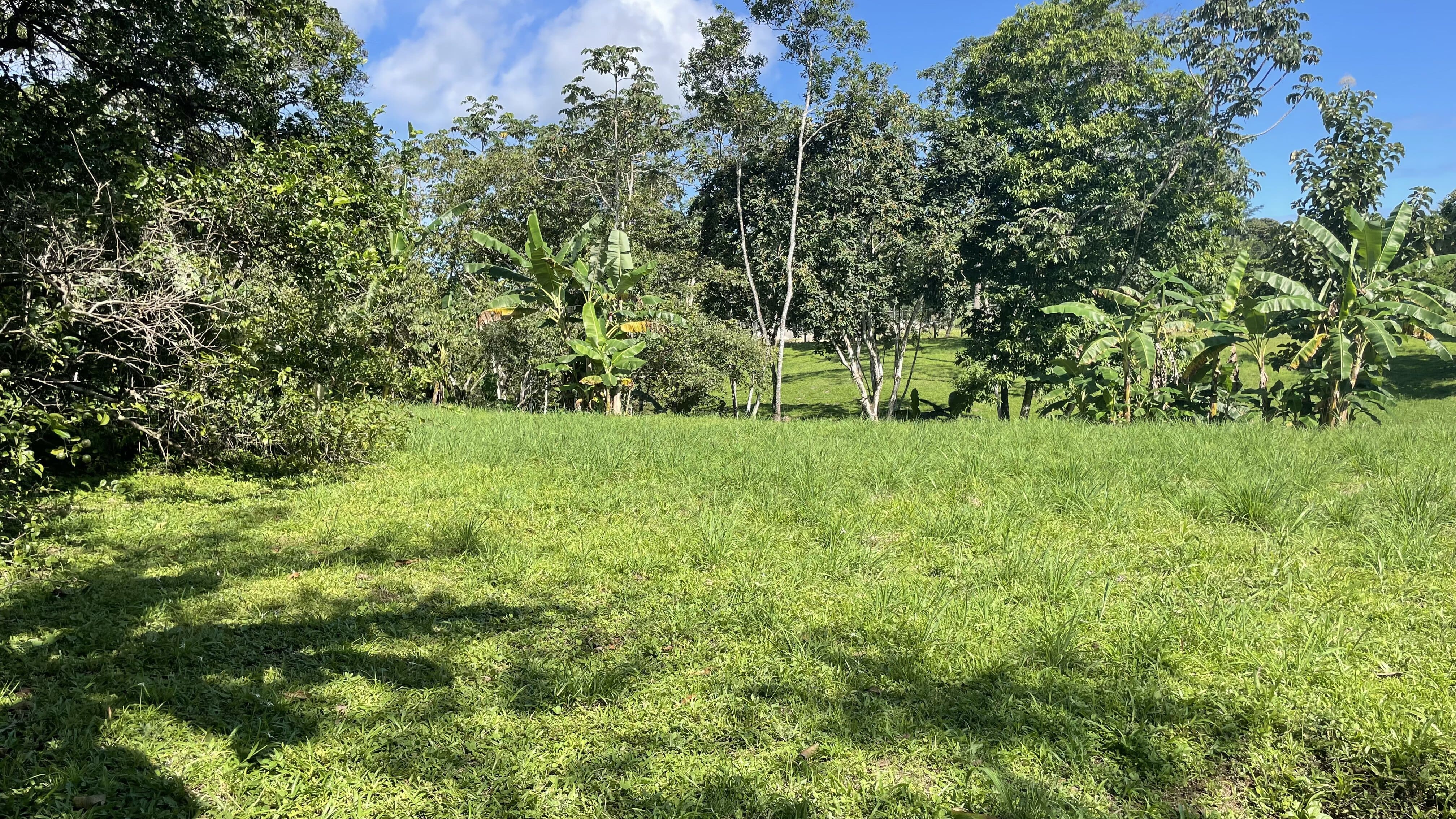 0 bed Land For Sale in Delicias, Puntarenas - thumb 23
